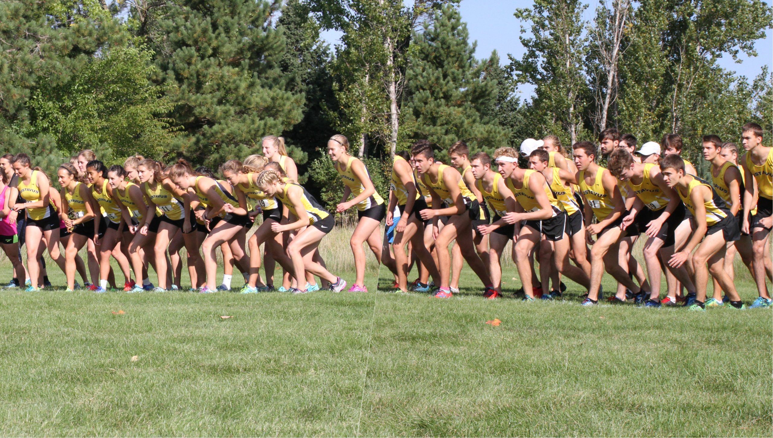 Cross Country Prepared For NCAA Regional Saturday