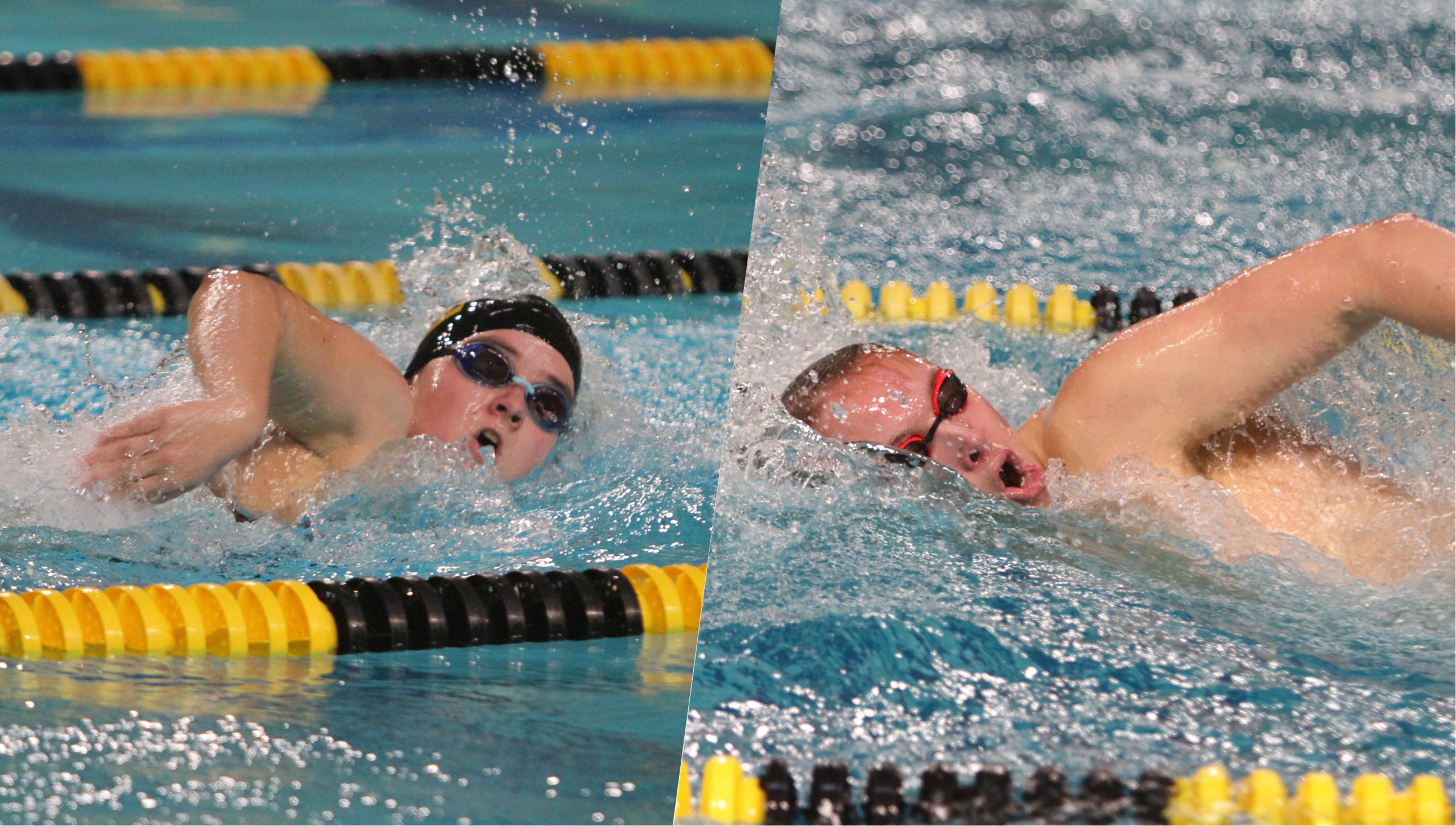 Swimming & Diving Hosts St. Olaf For MIAC Dual Meet Saturday