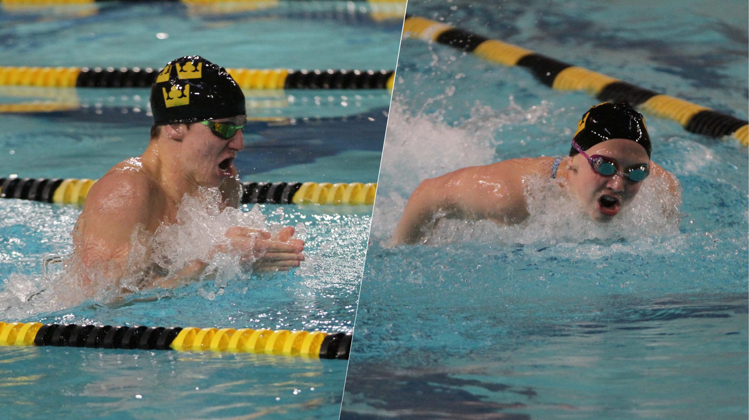 Swimming & Diving Sweeps St. Olaf