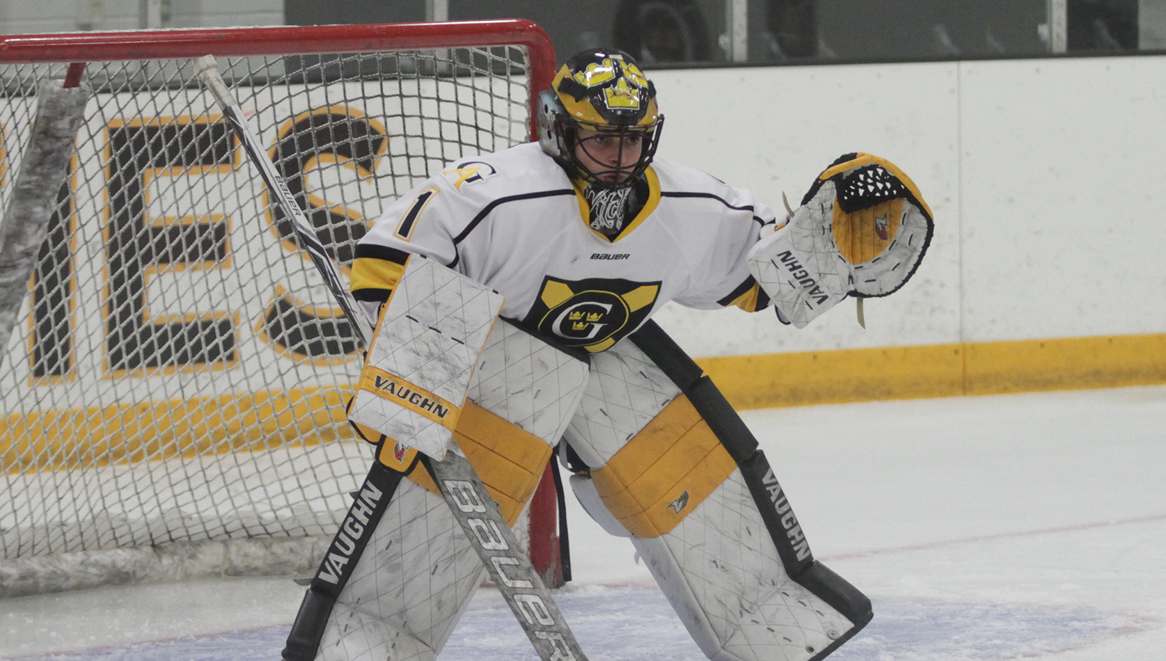 Women’s Hockey Sweeps St. Olaf With 3-0 Shutout