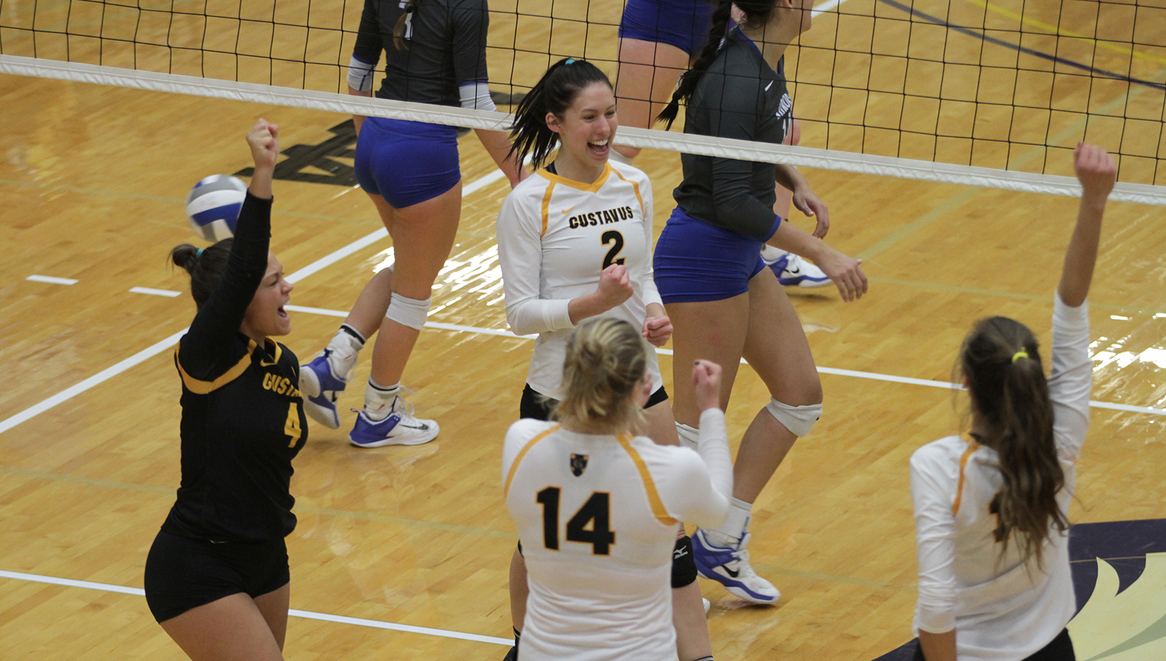 Volleyball Defeats Aurora 3-1 In Opening Round Of NCAA Tournament