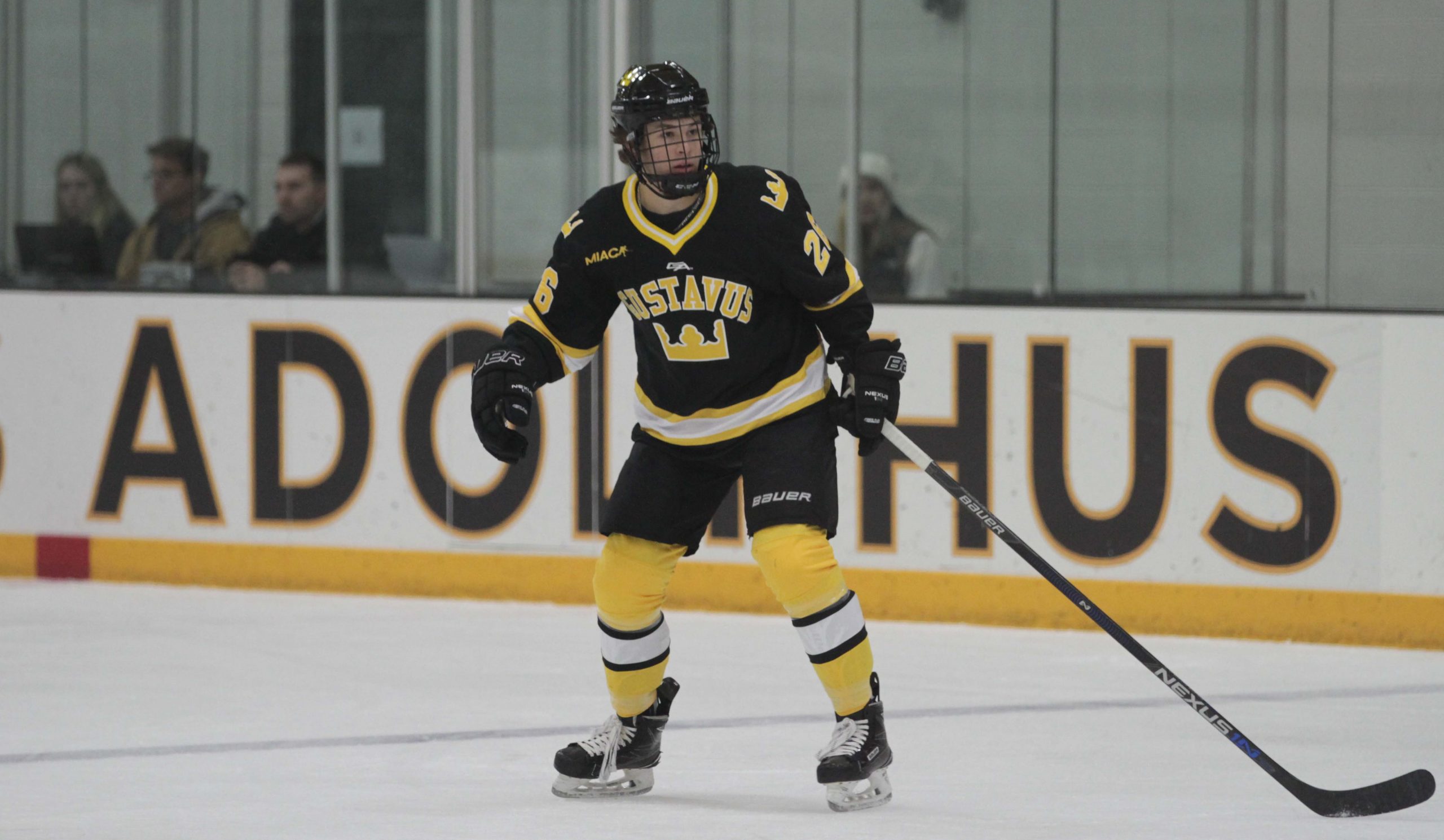 Men’s Hockey Earns Second Consecutive Shutout, Sweeping Bethel