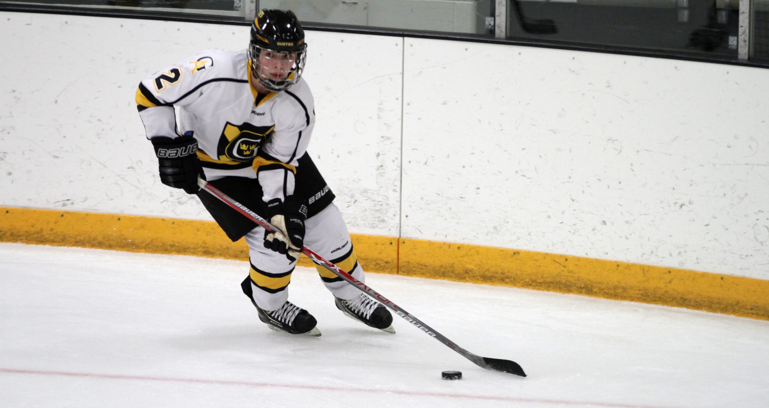 Women’s Hockey And Saint Mary’s Skate To A 1-1 Draw