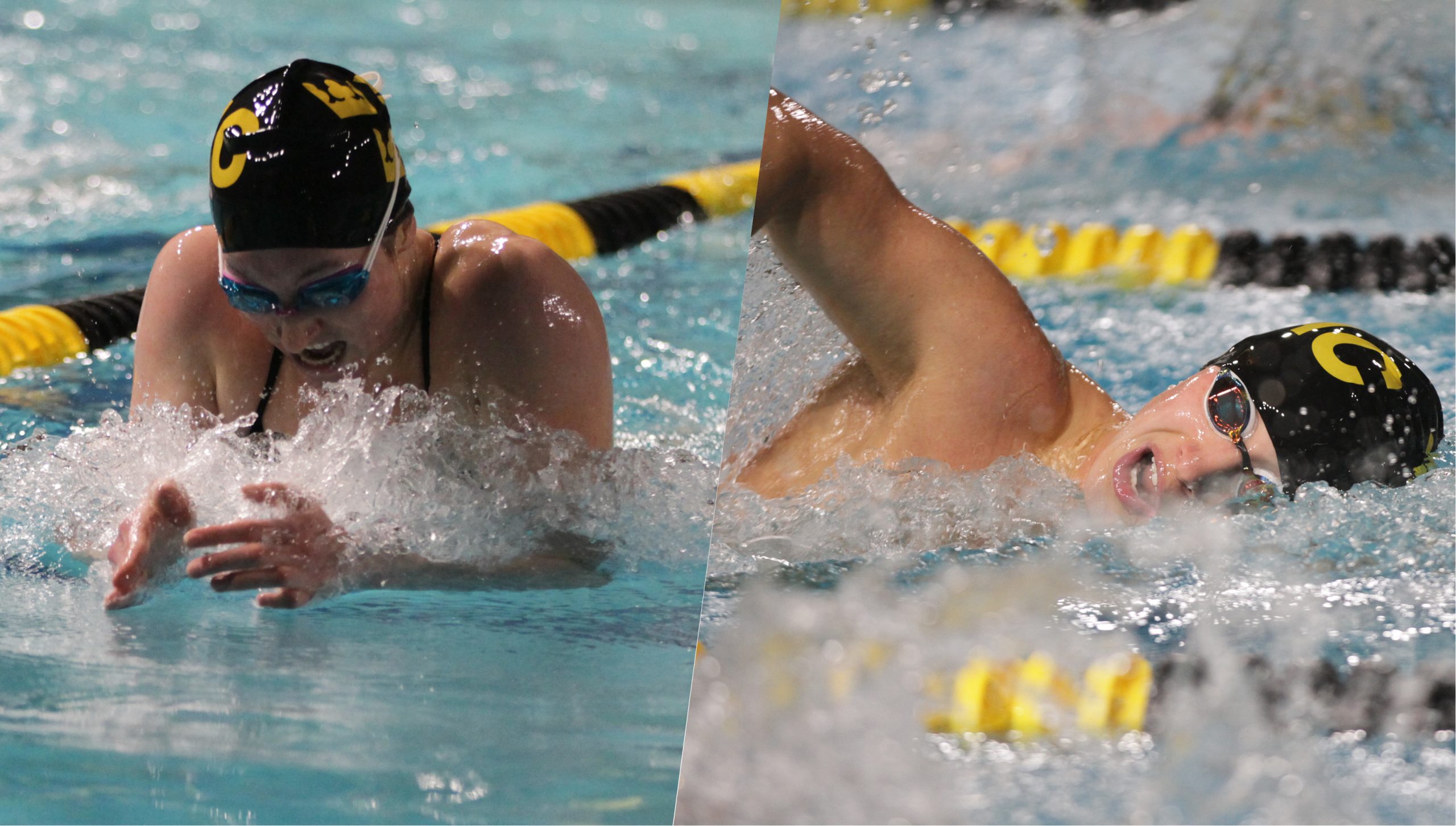 Swim & Dive Wins Nine Of 10 Events In Session One Of Gustie Invite