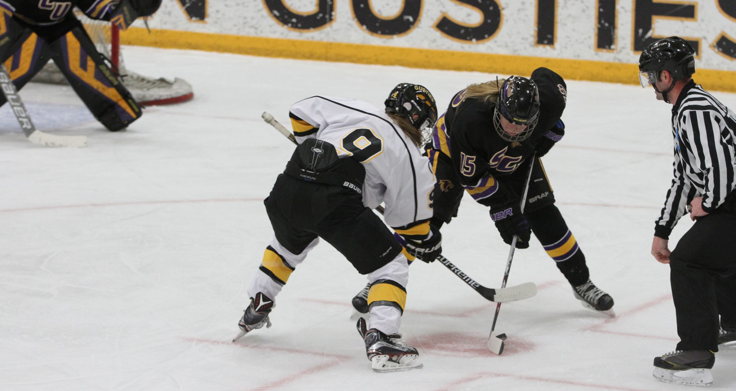 Women’s Hockey Takes On St. Kate’s This Weekend