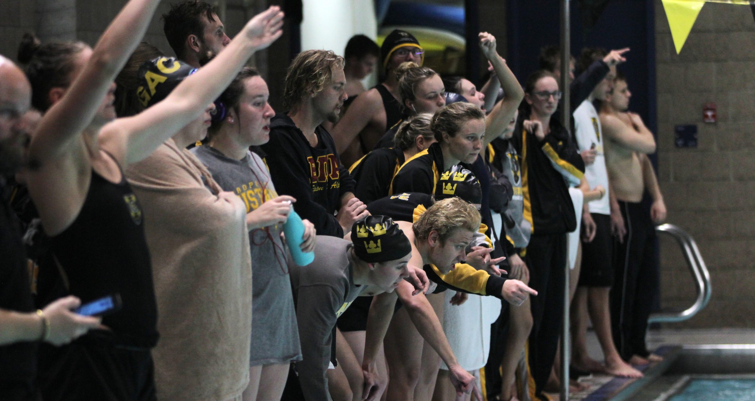 Swimming & Diving Hosts Final Invitational Before Conference Meet