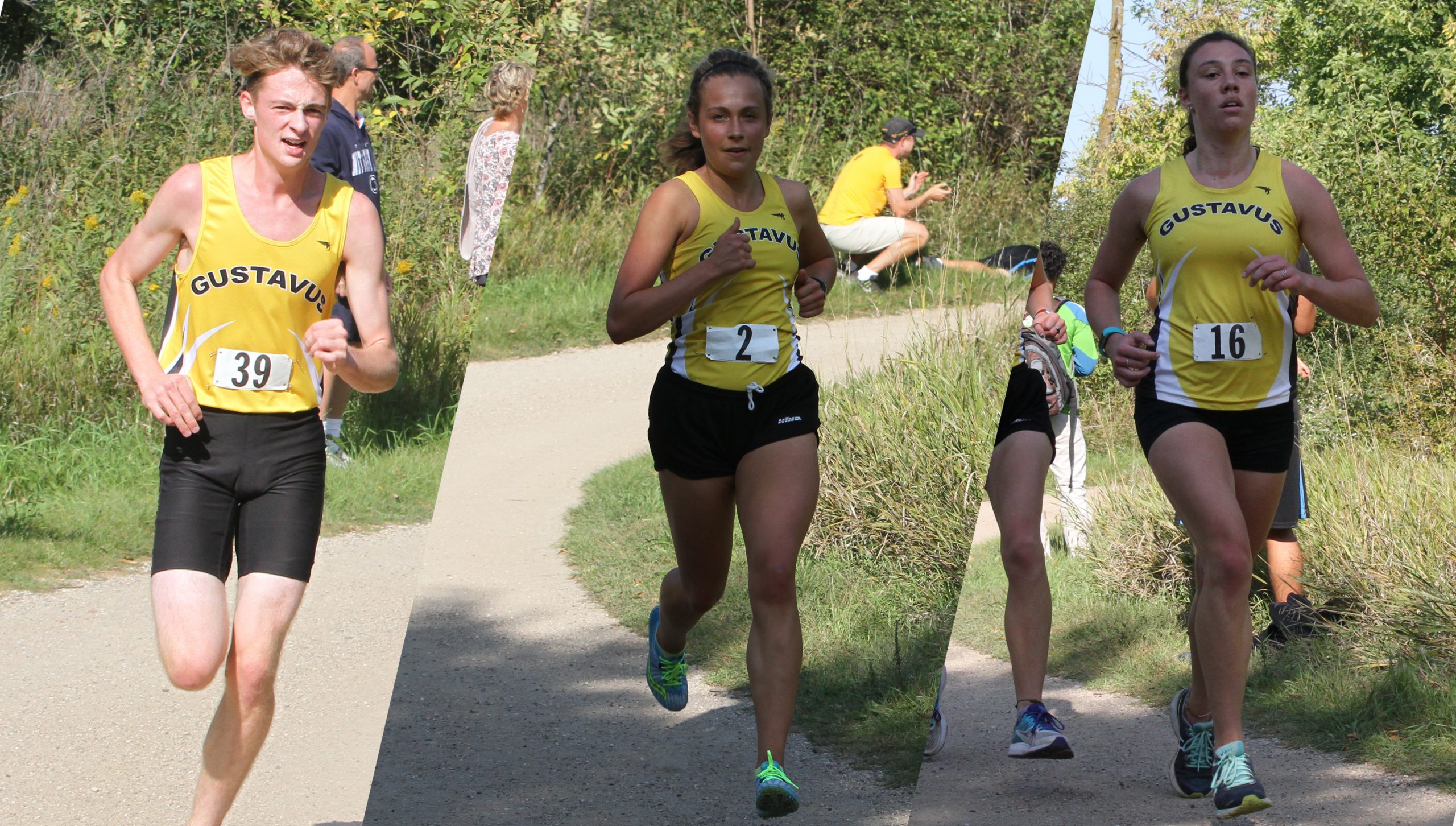 Trio Of Cross Country Student-Athletes Named USTFCCCA All-Academic