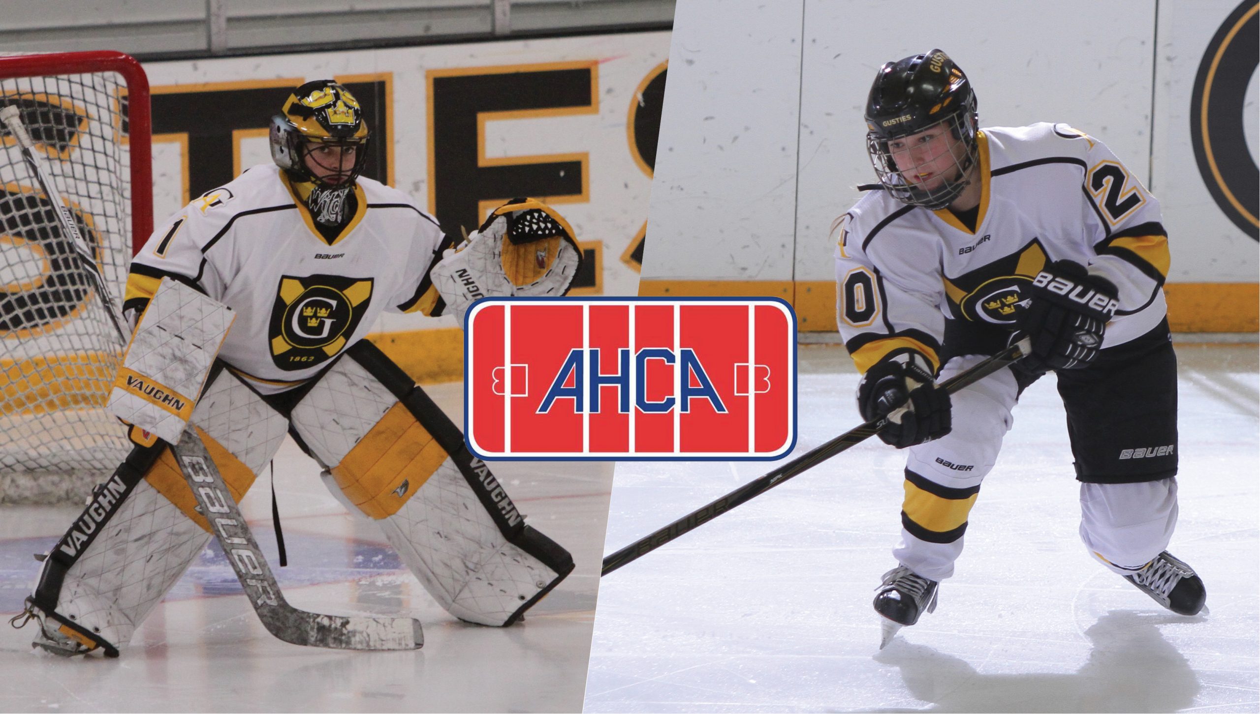 DiNella, Klein Named CCM/AHCA Division III Women’s Hockey All-Americans