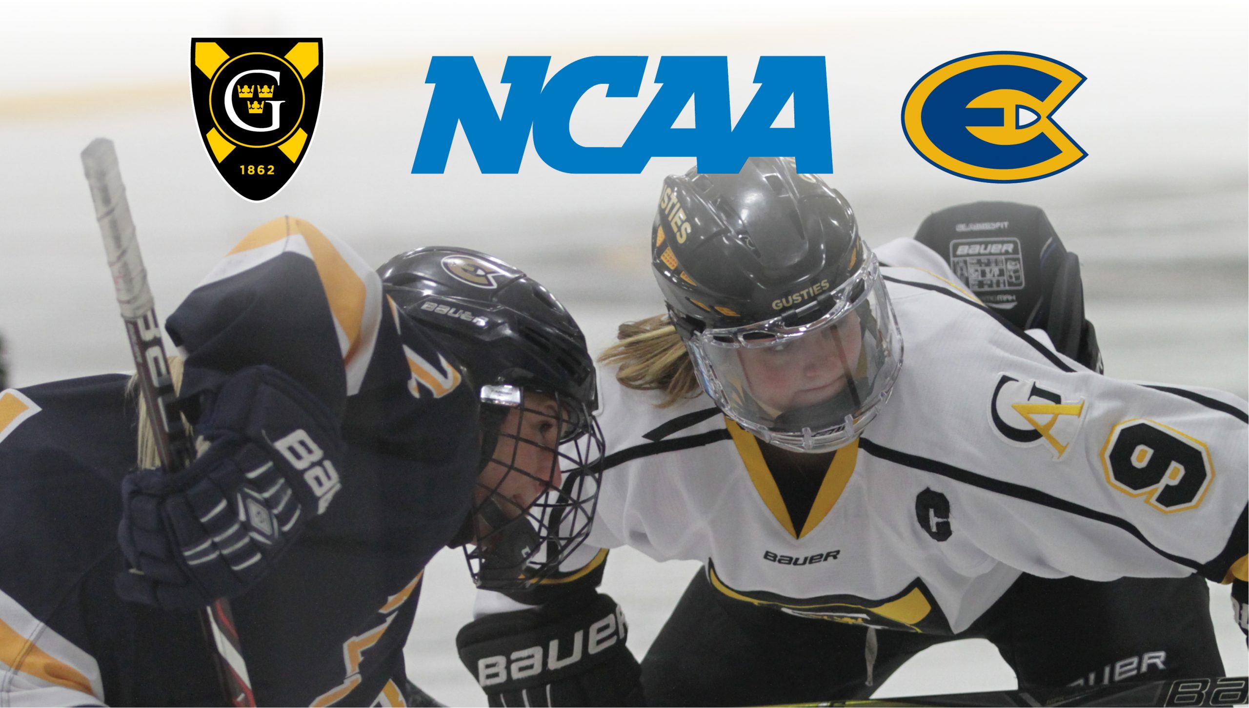 Women’s Hockey Awarded At-Large Bid To NCAA Championship, Will Host UW-Eau Claire Friday