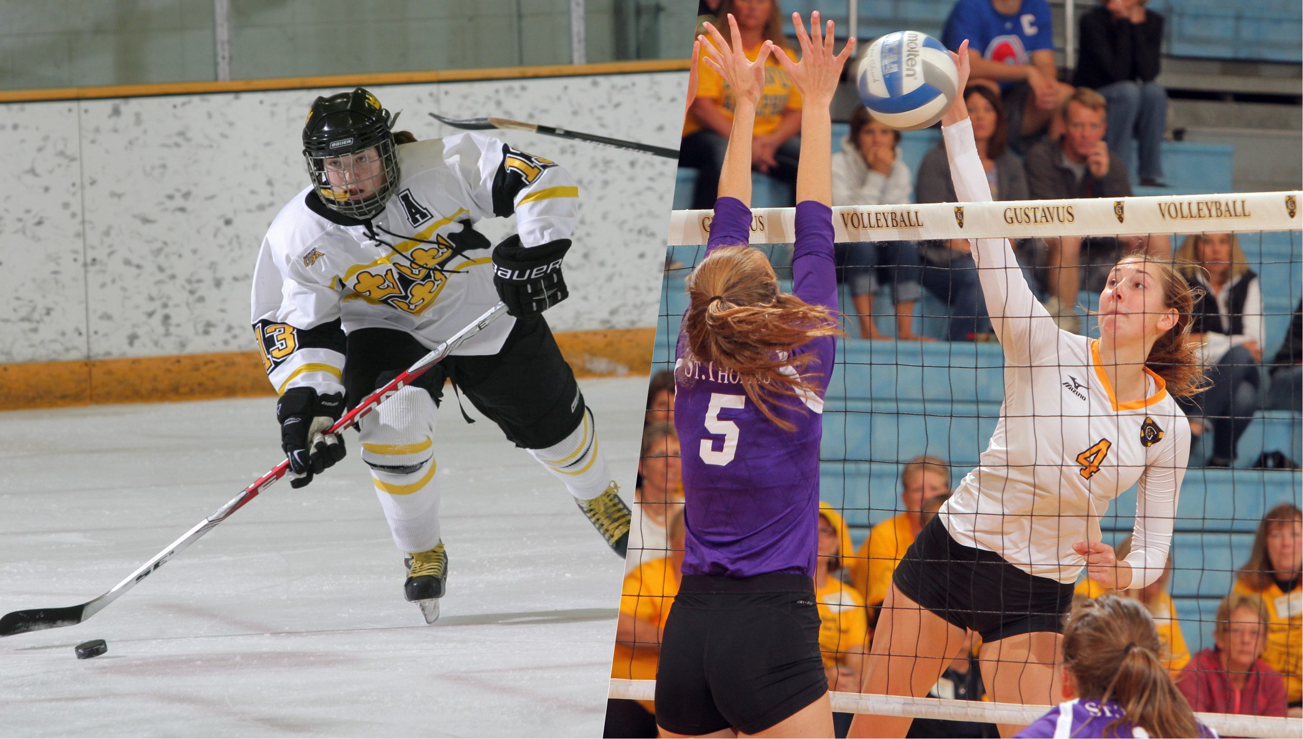 Volleyball, Women’s Hockey Add Former All-American Gusties To Coaching Staffs