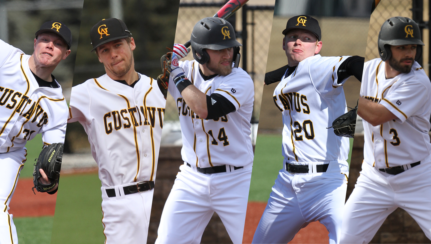 Five Gusties Named To MIAC Baseball All-Conference Team