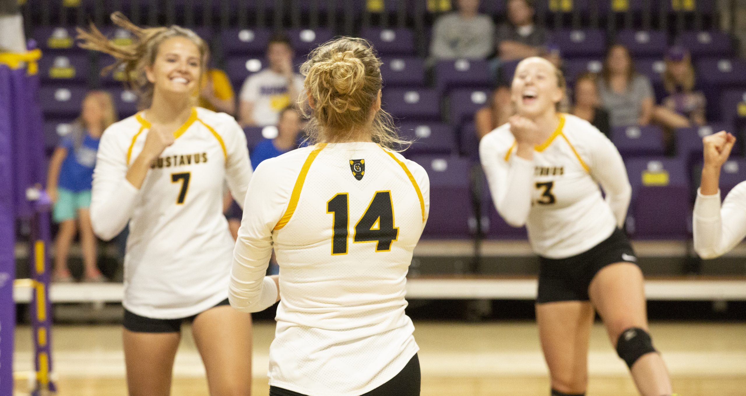 Volleyball Hosts Hamline Wednesday Night in MIAC Opener