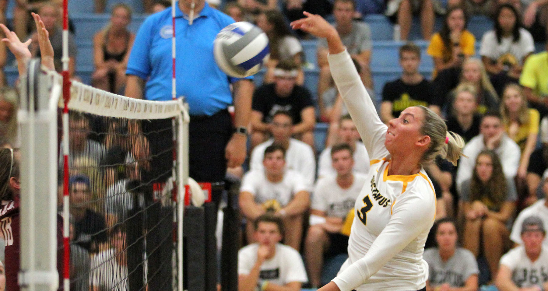 Volleyball Beats Hamline in Straight Sets