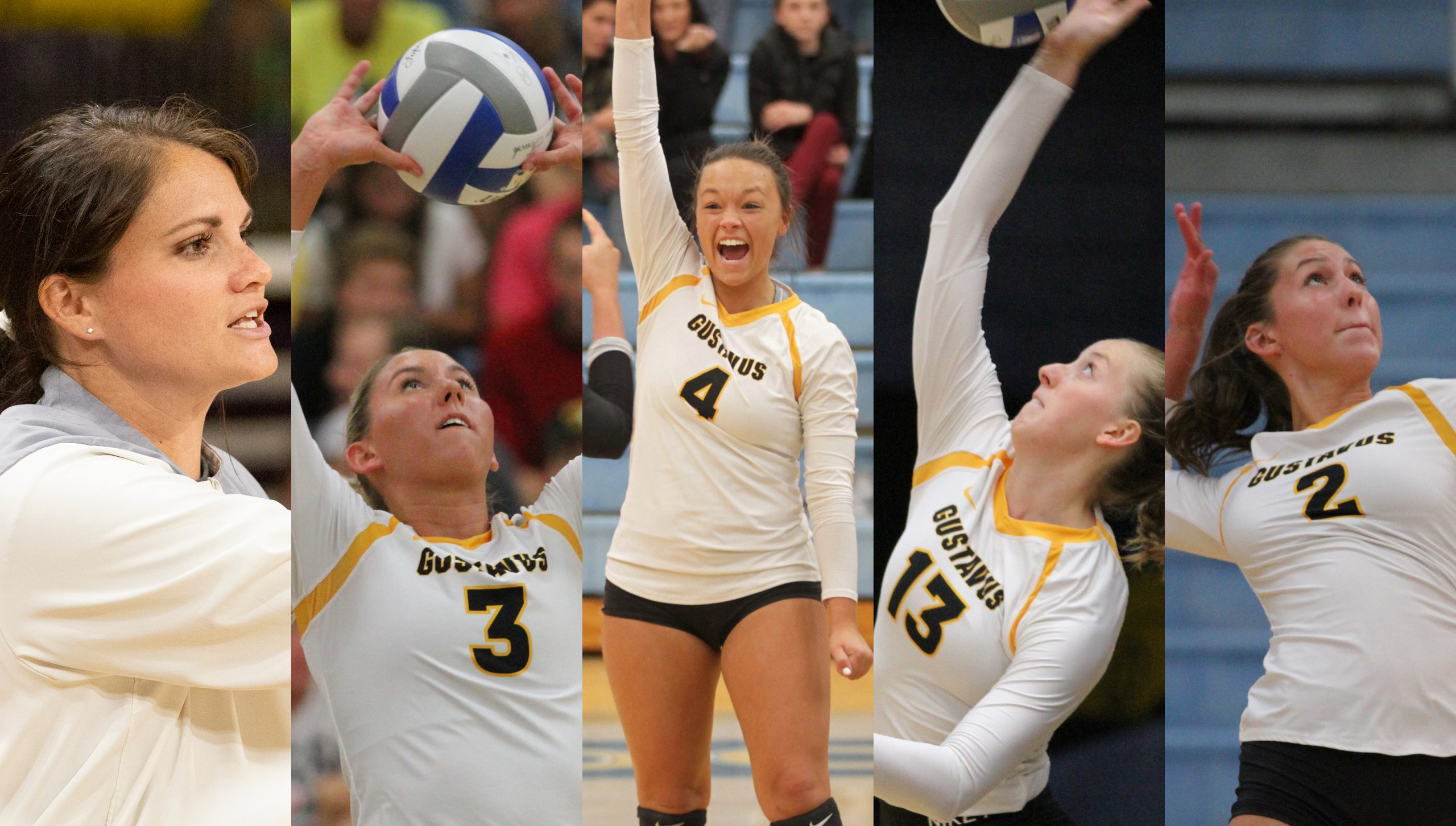 Volleyball Earns Multiple Honors in MIAC Postseason Awards