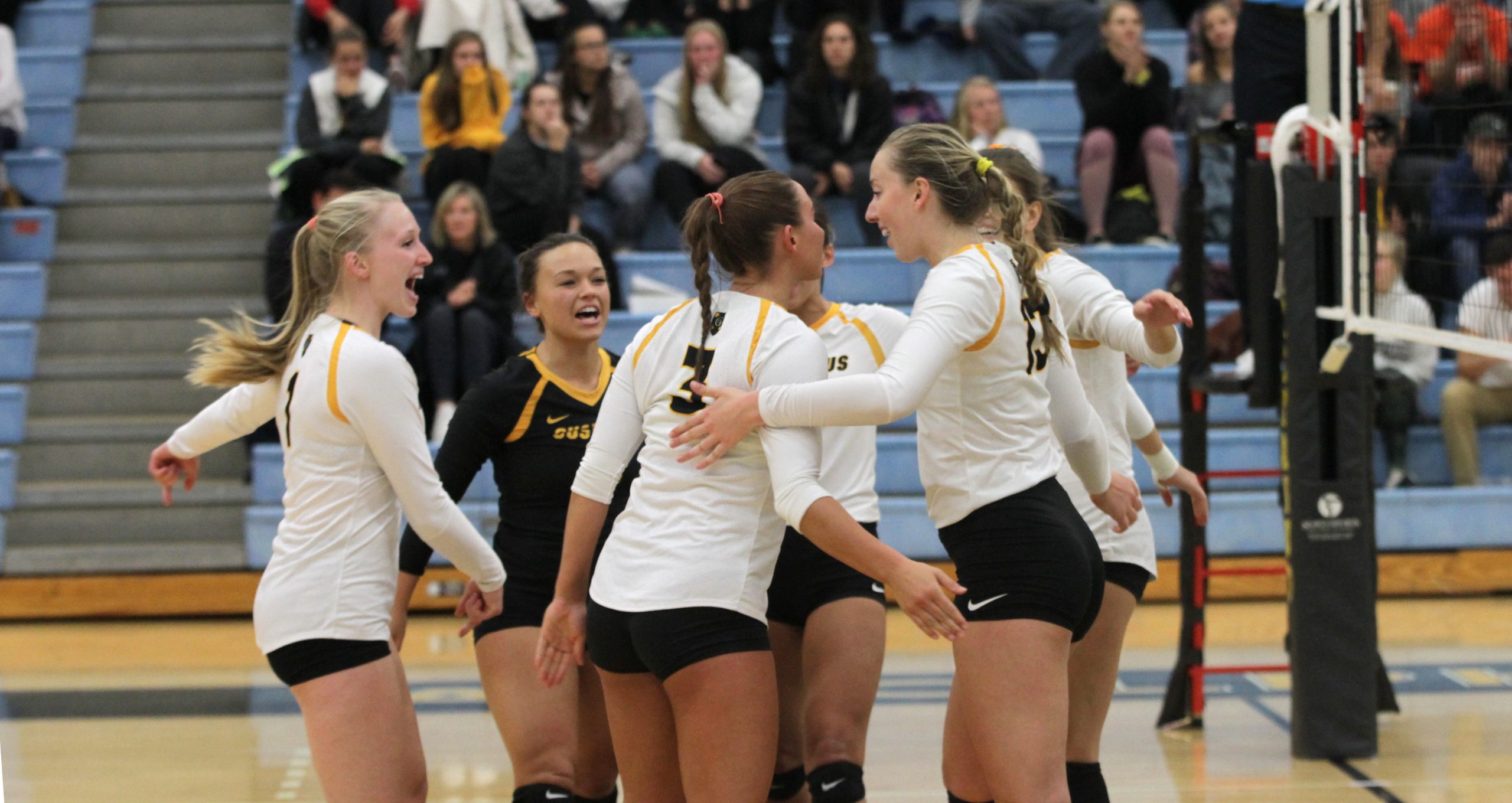 Volleyball Shuts Out St. Olaf