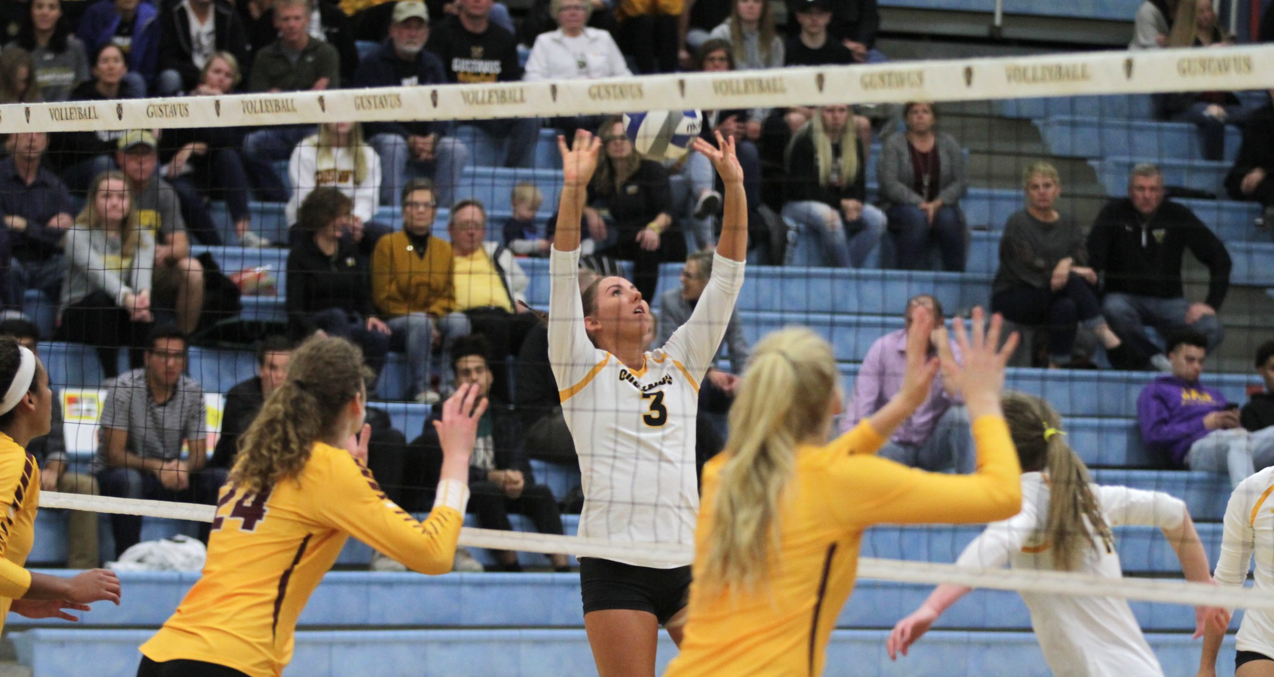 No. 10 Volleyball Tops Concordia, Holtan Breaks Career Assists Record