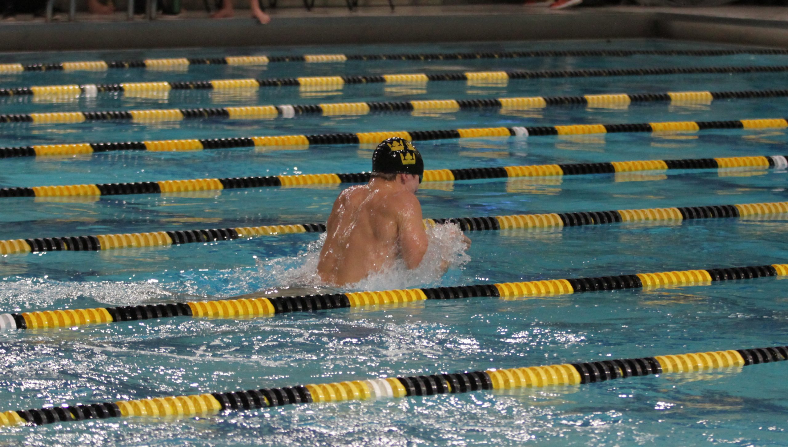 Swimming and Diving Defeats Luther in First Meet of Season