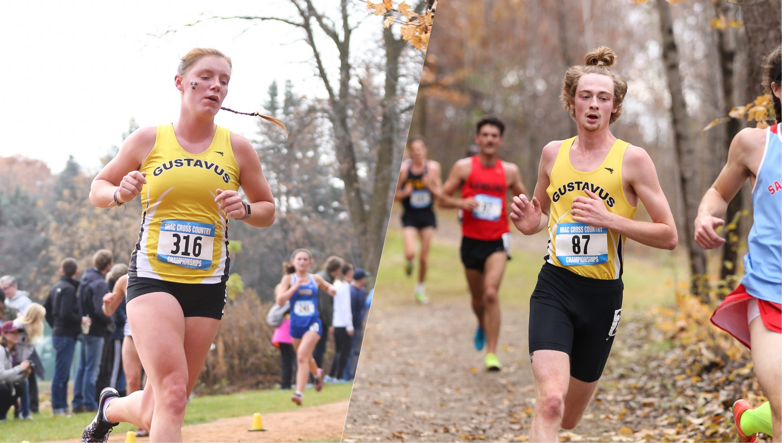 Men’s and Women’s Cross Country Teams Finish Sixth at MIAC Championships