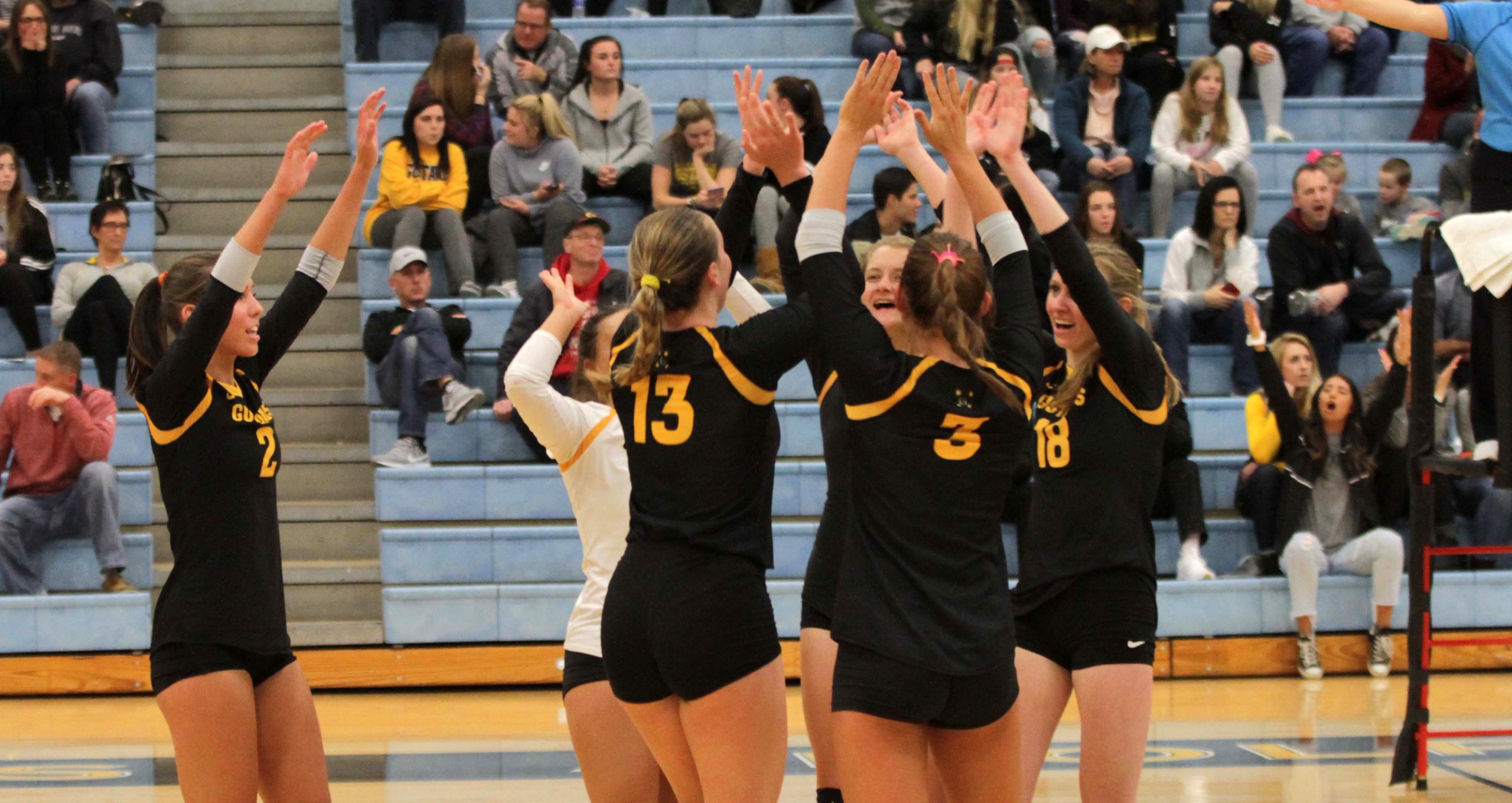 Volleyball Completes Perfect Season in the MIAC