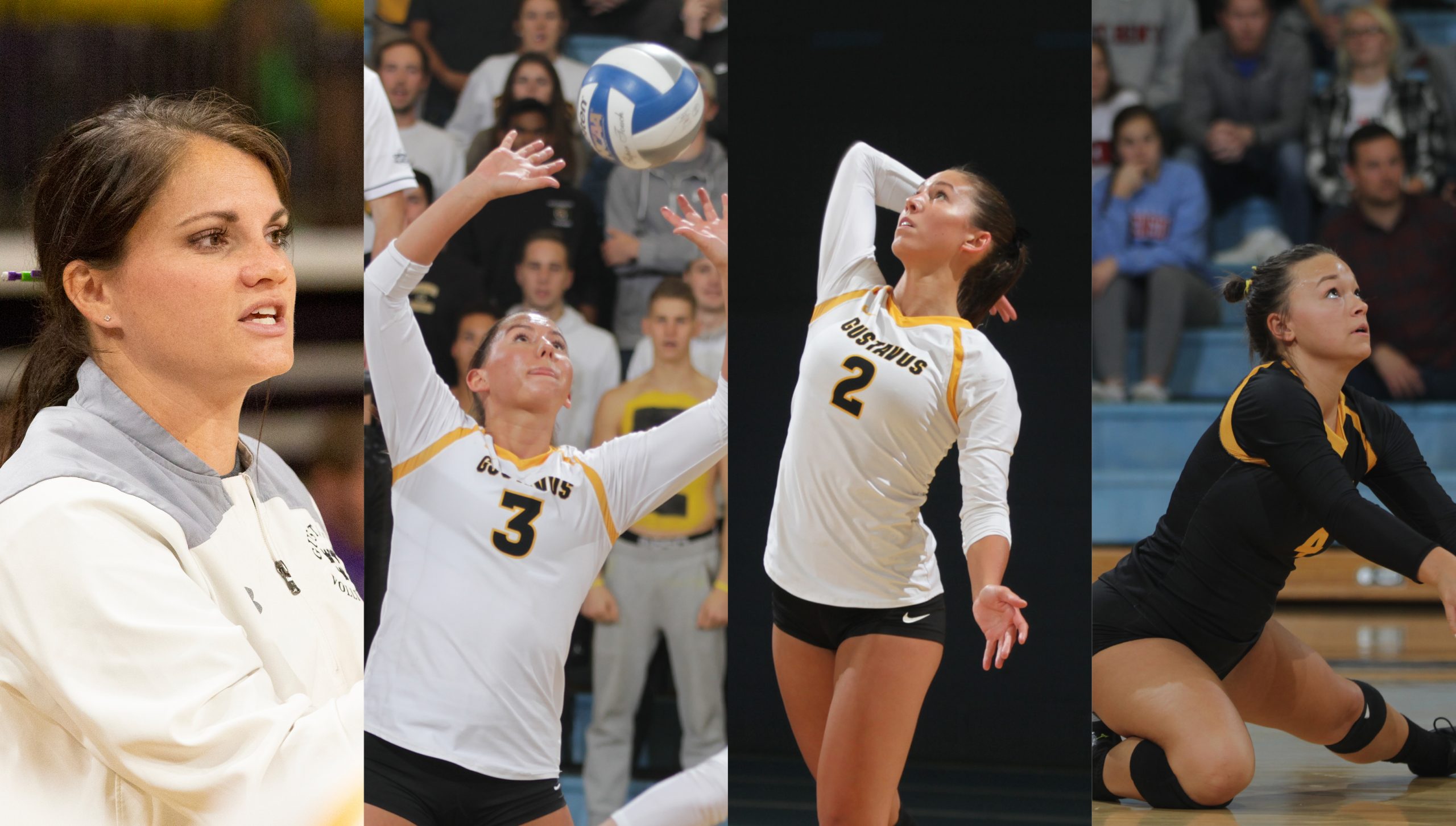 Holtan, Sherden Highlight AVCA Central Region Awards