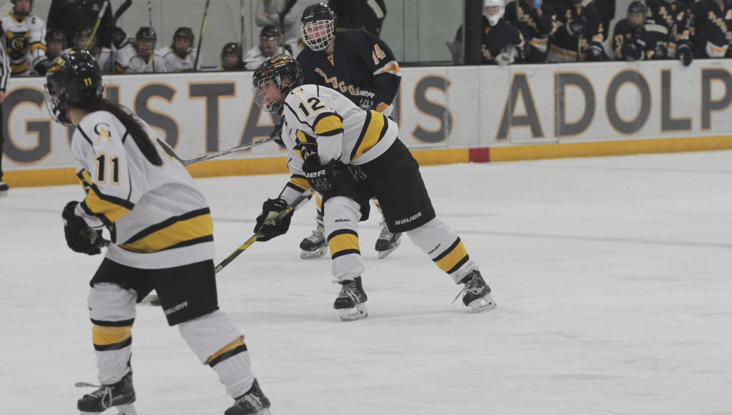 Women’s Hockey Travels to UW-Eau-Claire Saturday for NCAA Tournament Rematch