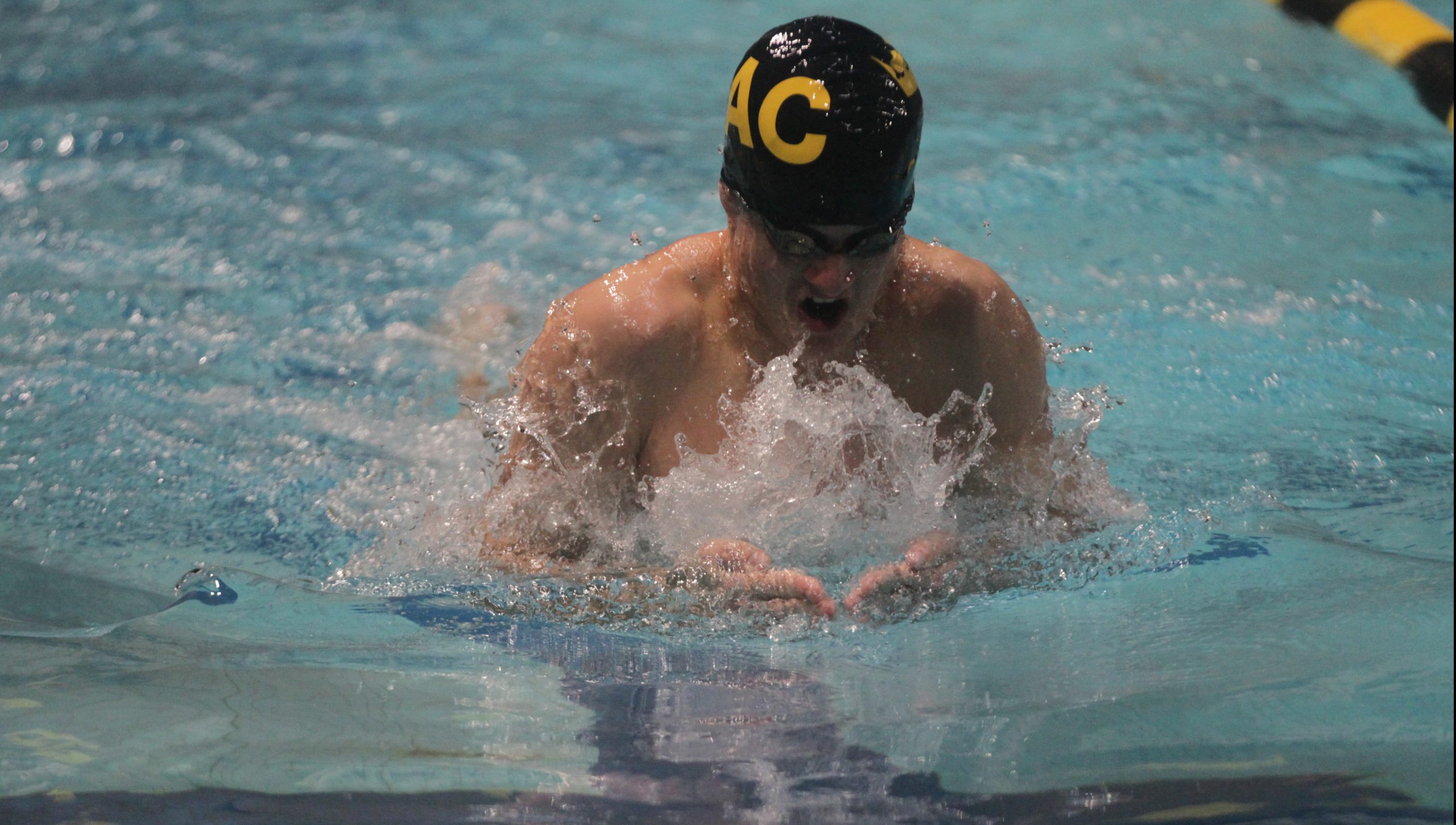 Men’s and Women’s Swimming and Diving  Defeats St. Olaf, Men and Women at Macalester Finish Third