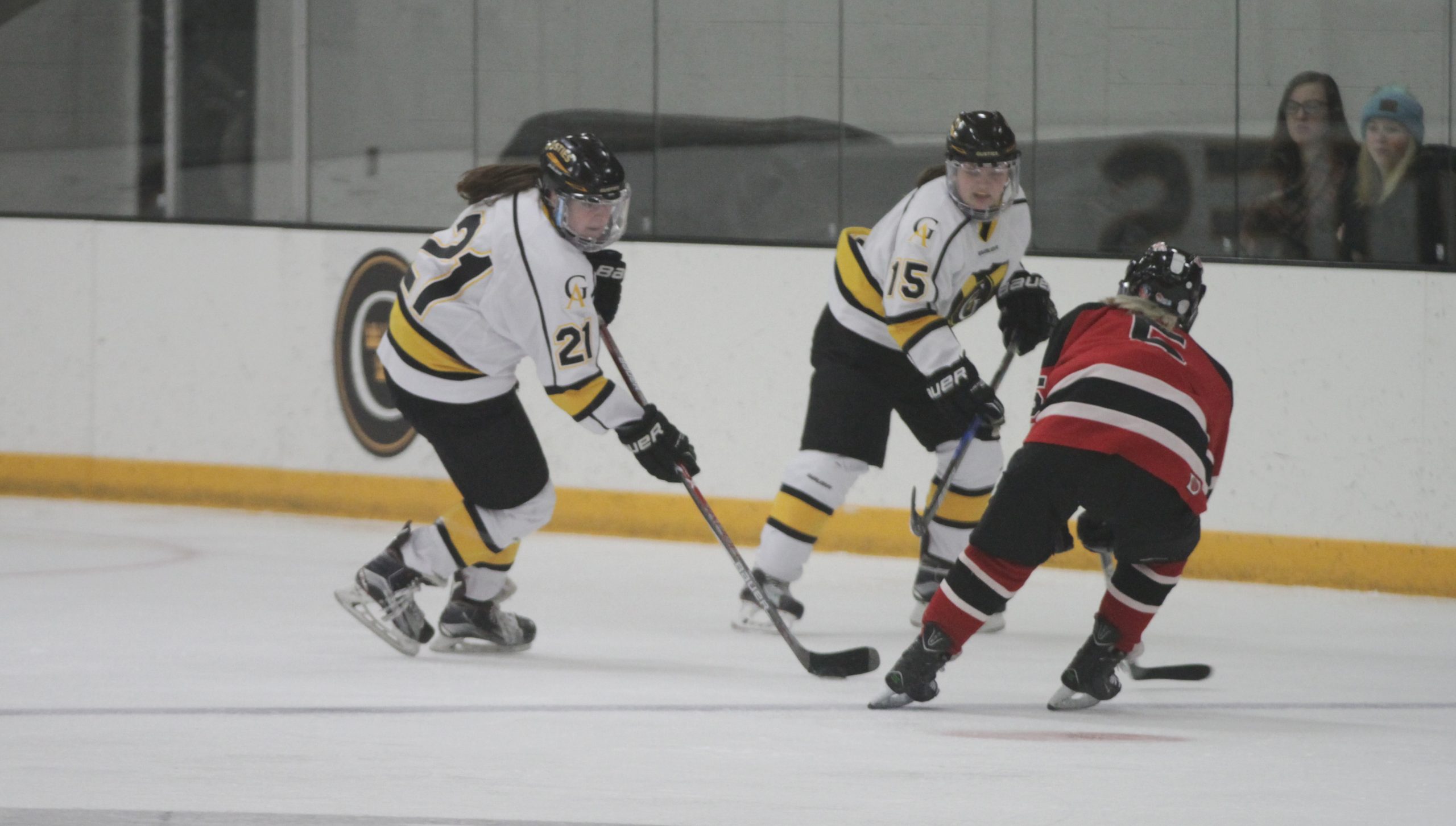 Women’s Hockey Ready for Top-10 Series with No. 5 UW-River Falls