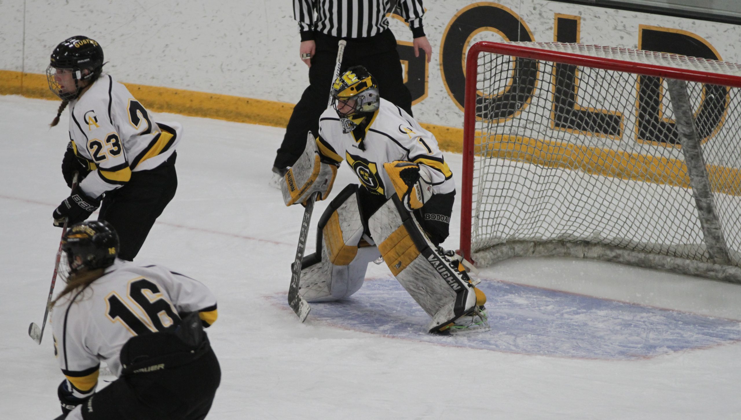 Women’s Hockey Set for Weekend Series with Saint Mary’s