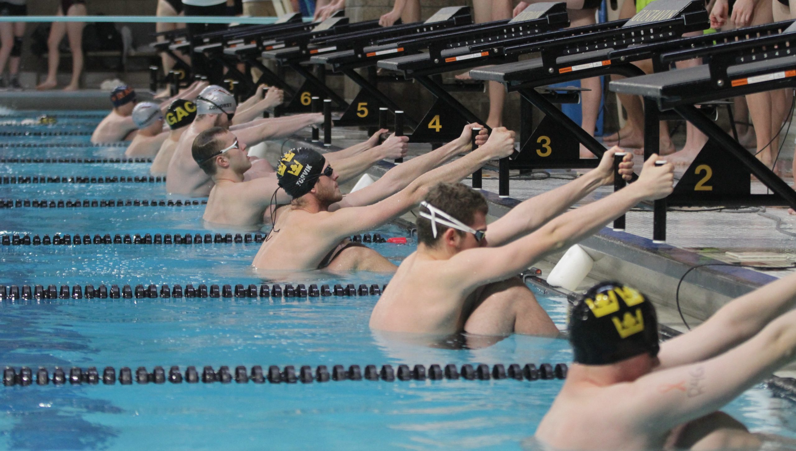 Men’s and Women’s Swim and Dive Defeat Carleton