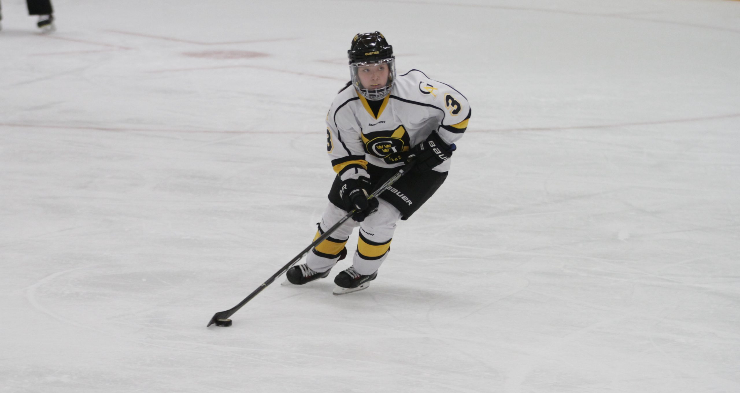 Women’s Hockey Skates to 2-2 Tie With No. 4 St. Thomas