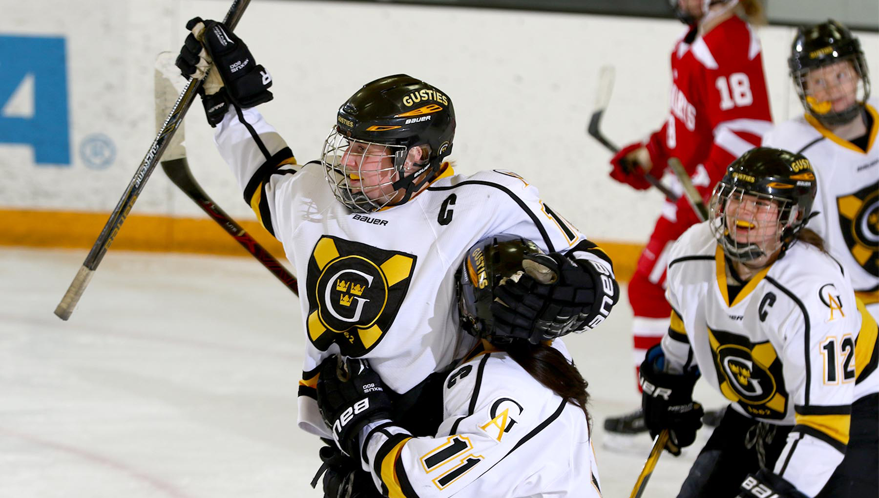 Women’s Hockey Uses Strong Second Period to Defeat Saint Mary’s