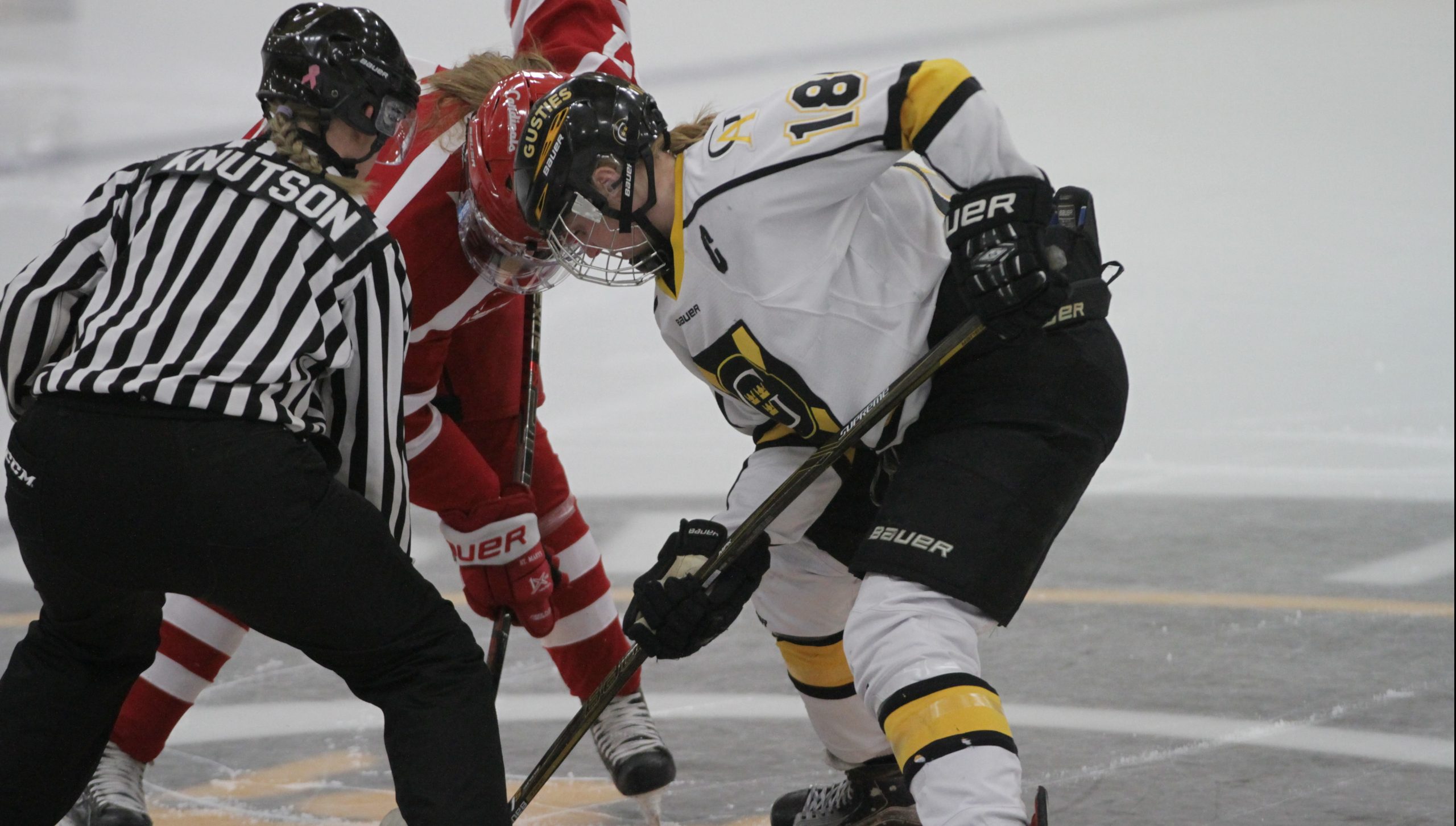 Women’s Hockey Set to Host Saint Mary’s for MIAC Play-In Game Thursday