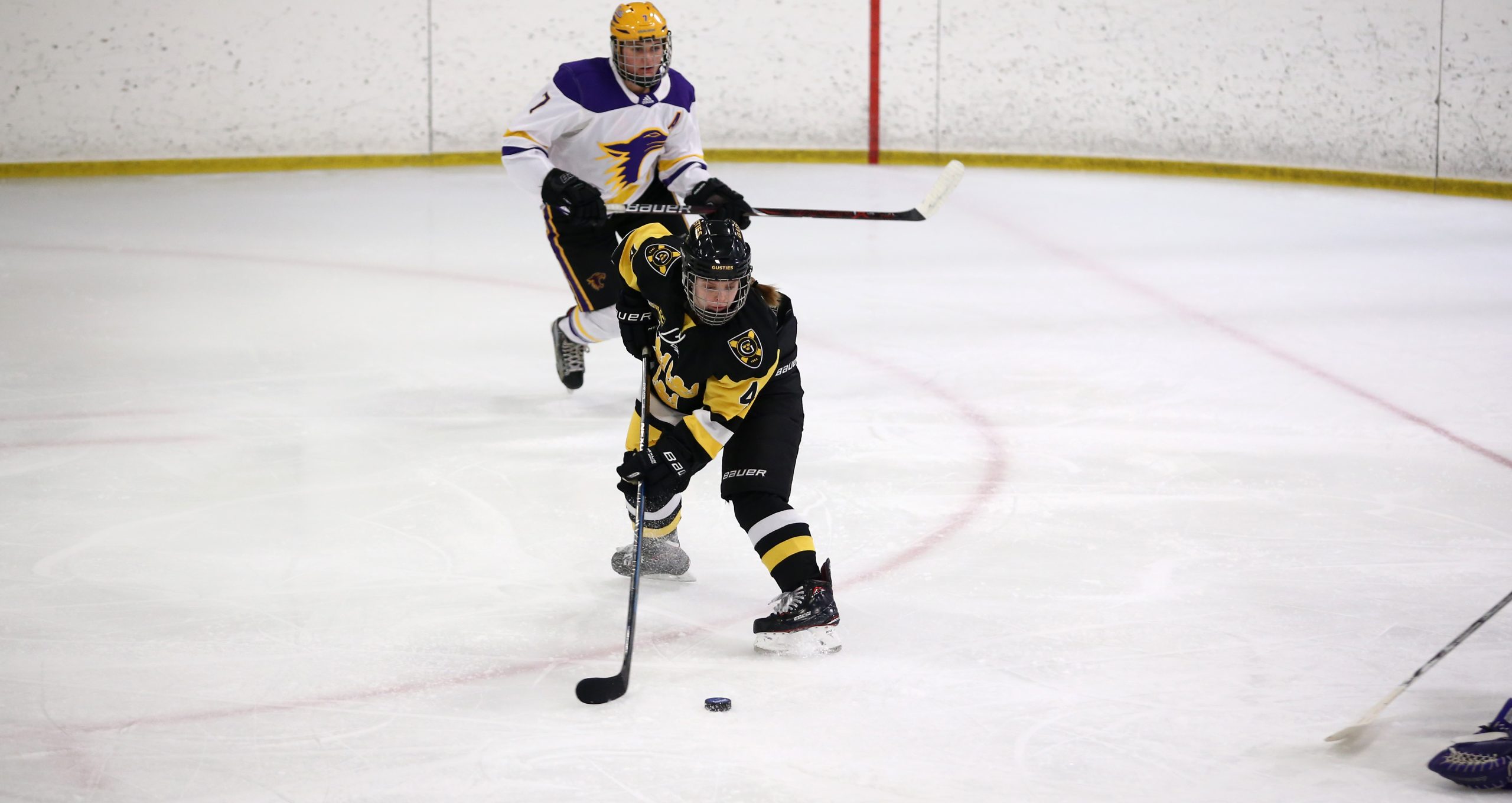 Women’s Hockey Ties St. Kate’s 2-2