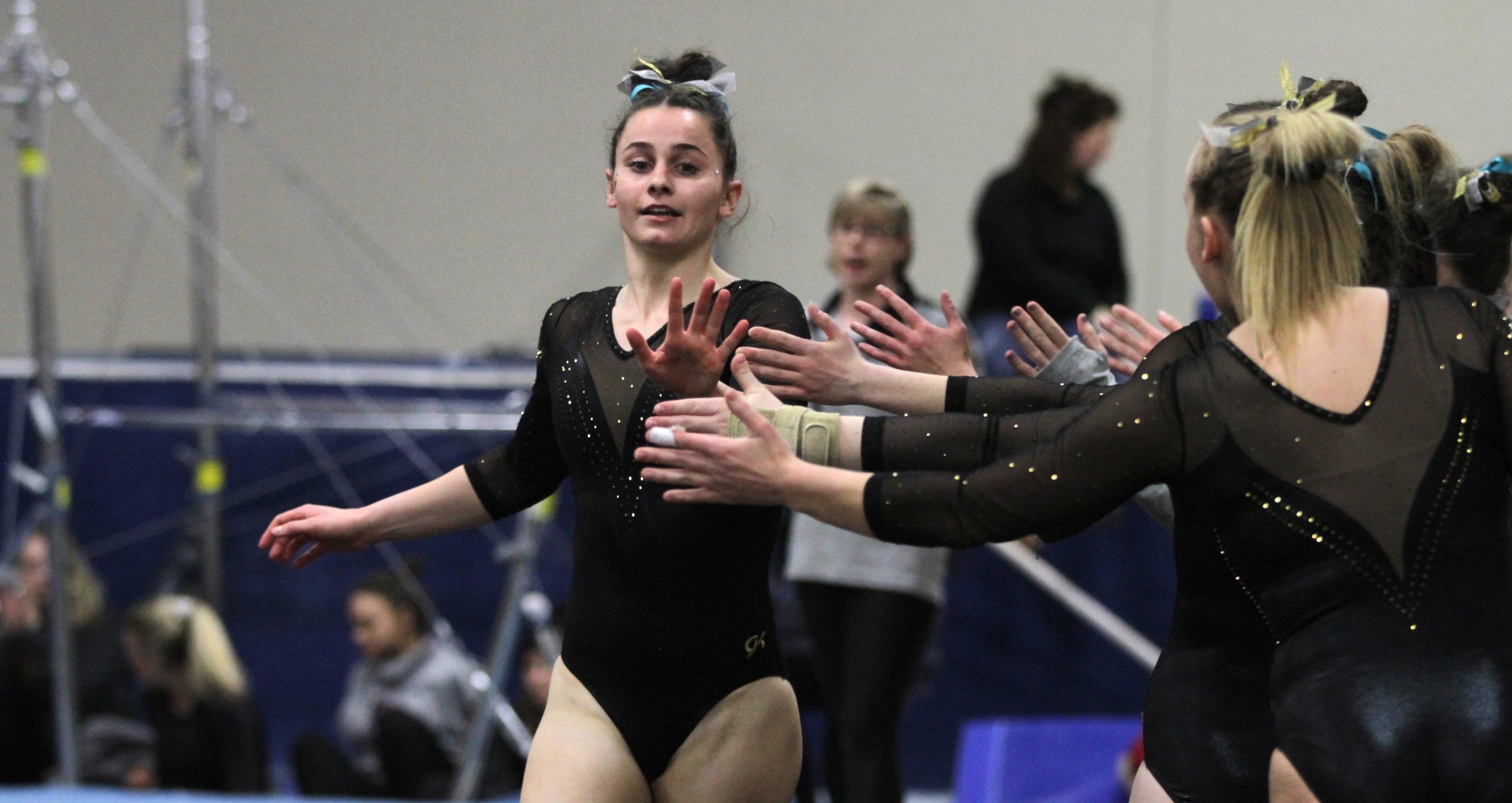 Gymnastics Competes in Louisiana Sunday