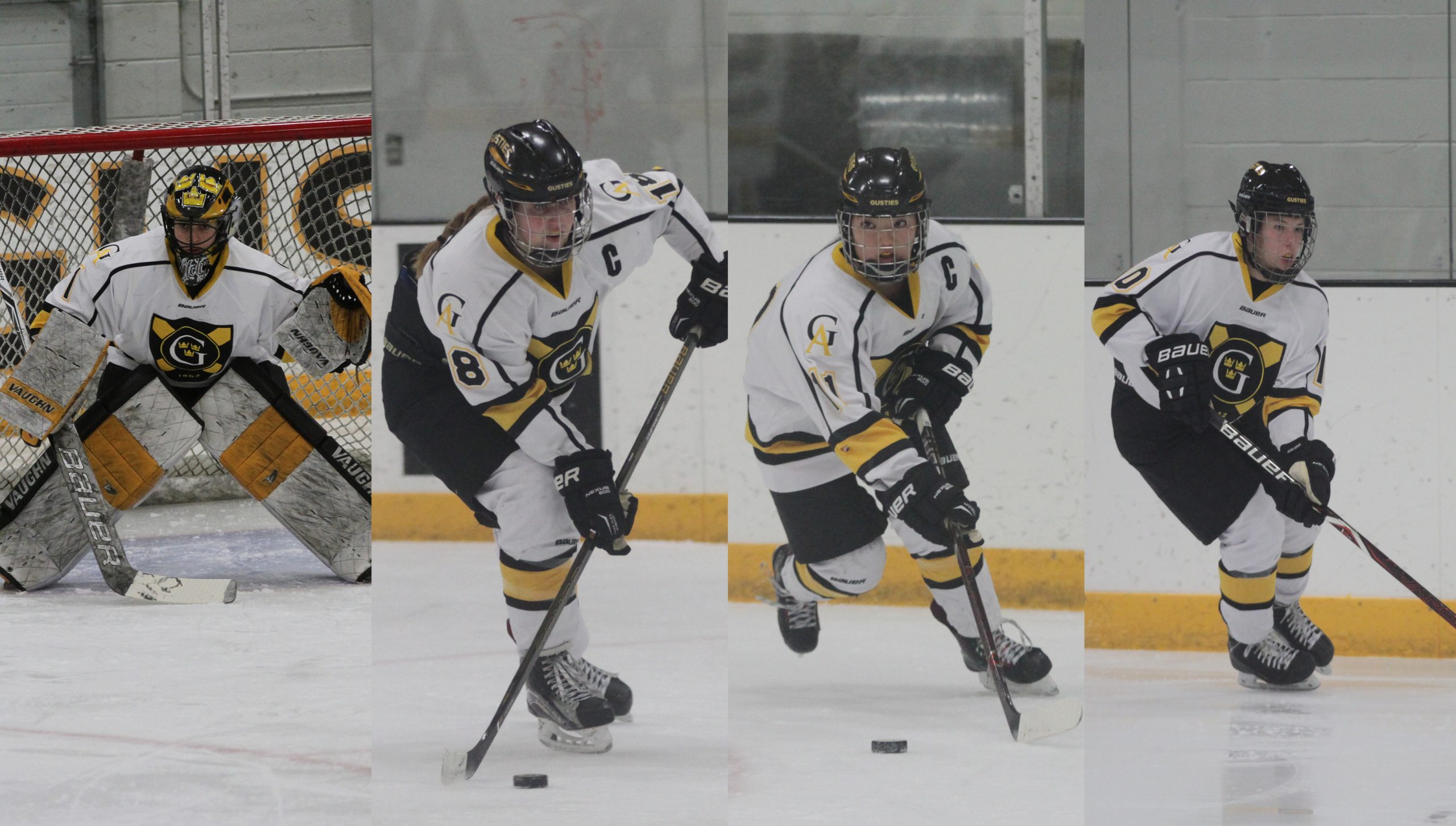 Women’s Hockey has Four Players Named All-Conference