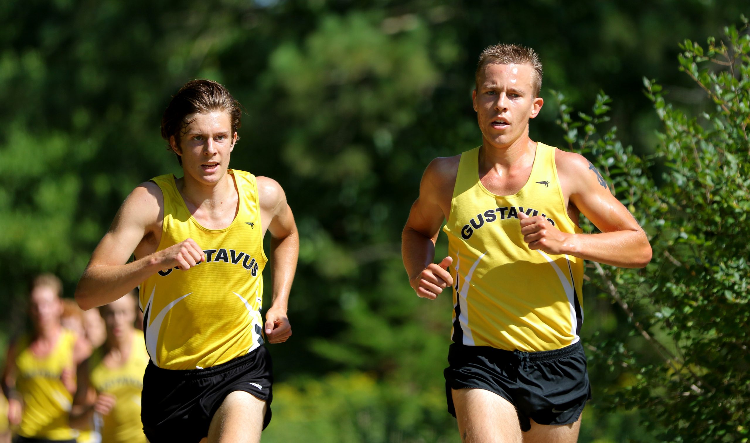 Men’s Cross Country Takes Sixth at UW-La Crosse