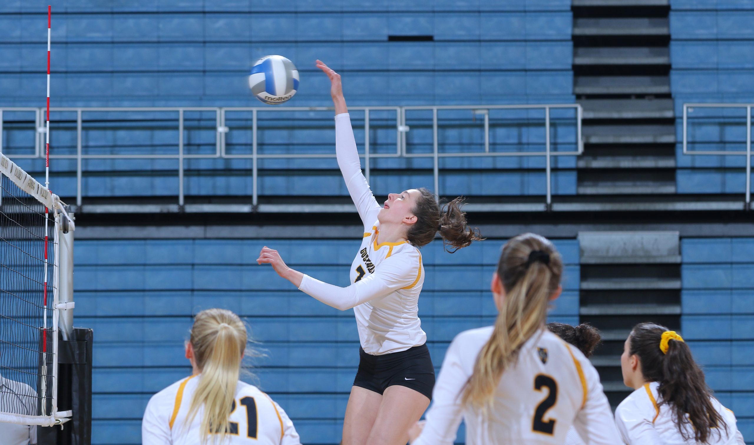 Volleyball Sweeps Bethel Thanks to Strong Attack