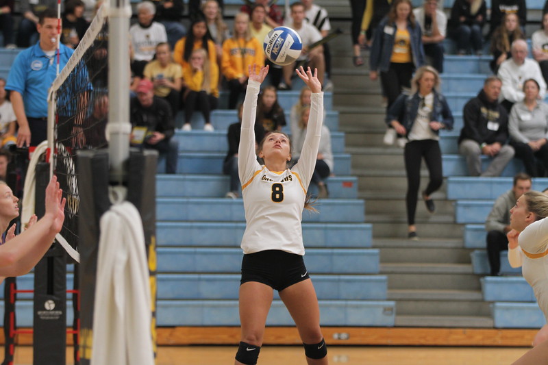 Volleyball Defeats Carleton in Three Sets