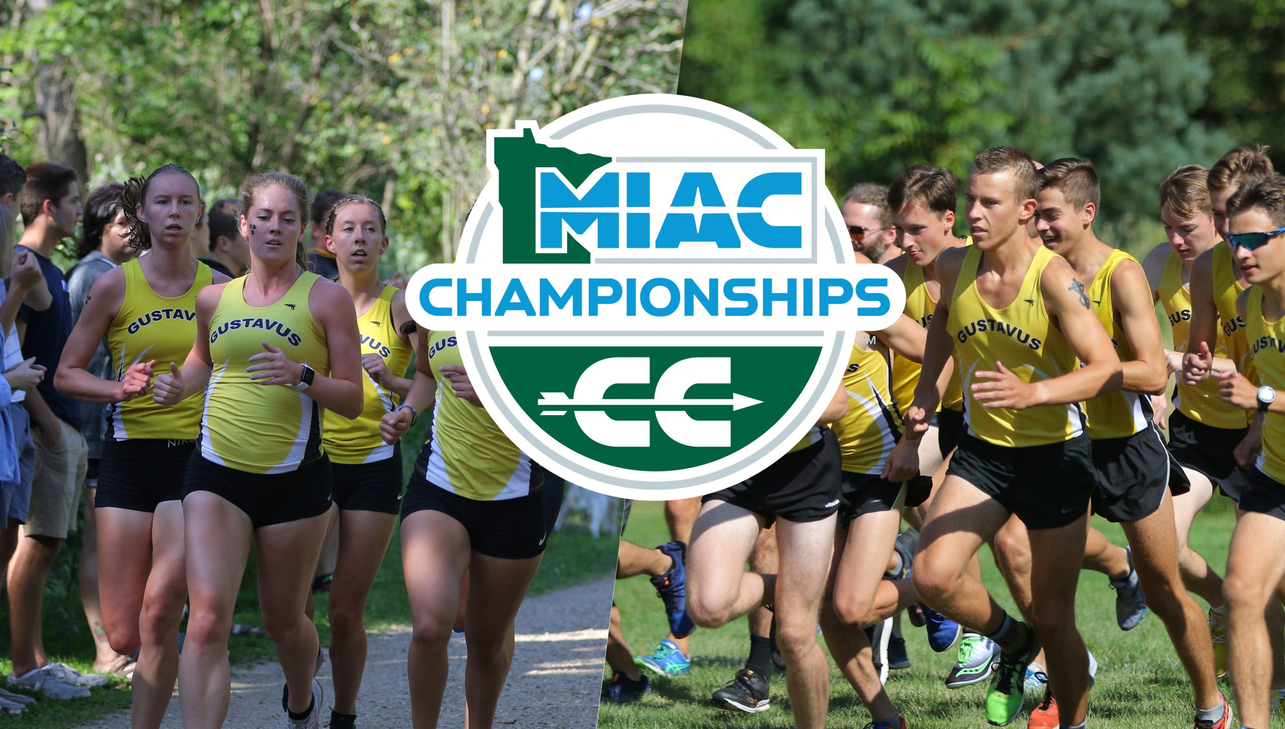 Cross Country Ready for MIAC Championships Saturday