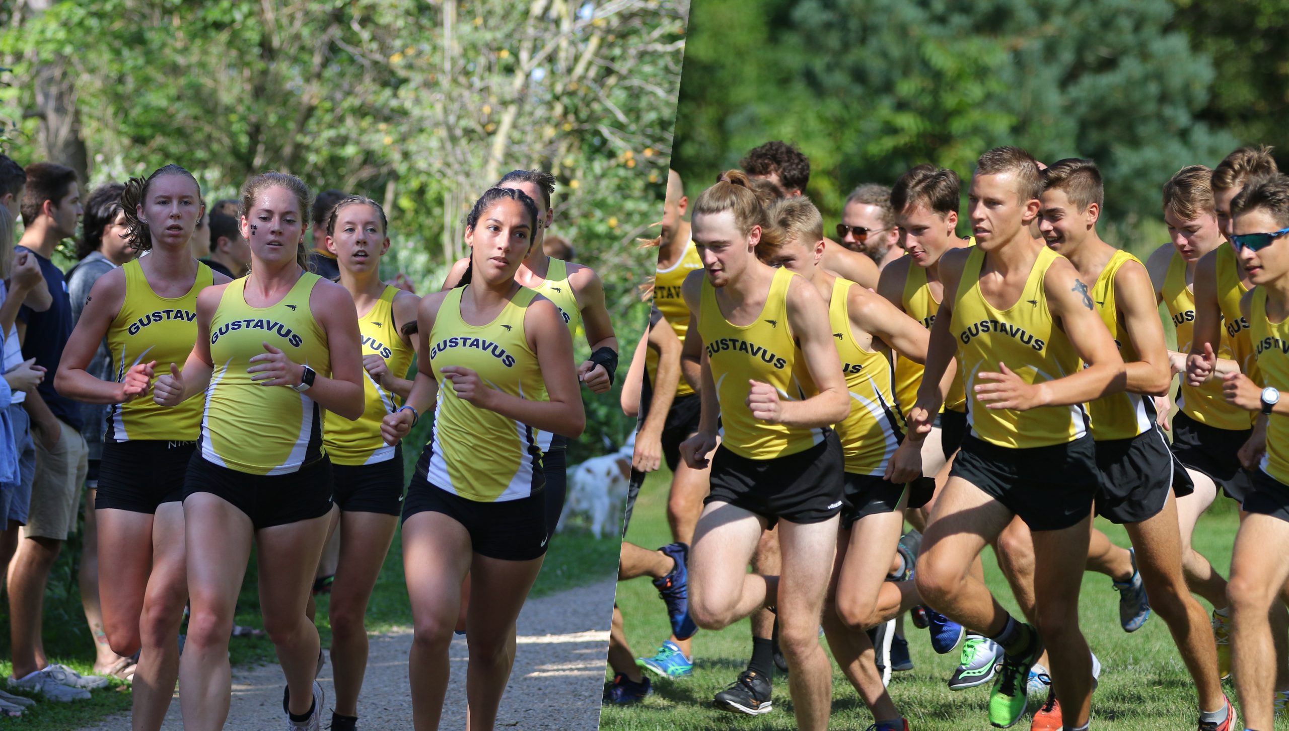 Cross Country Heads to Wartburg Saturday for Dan Huston Invitational