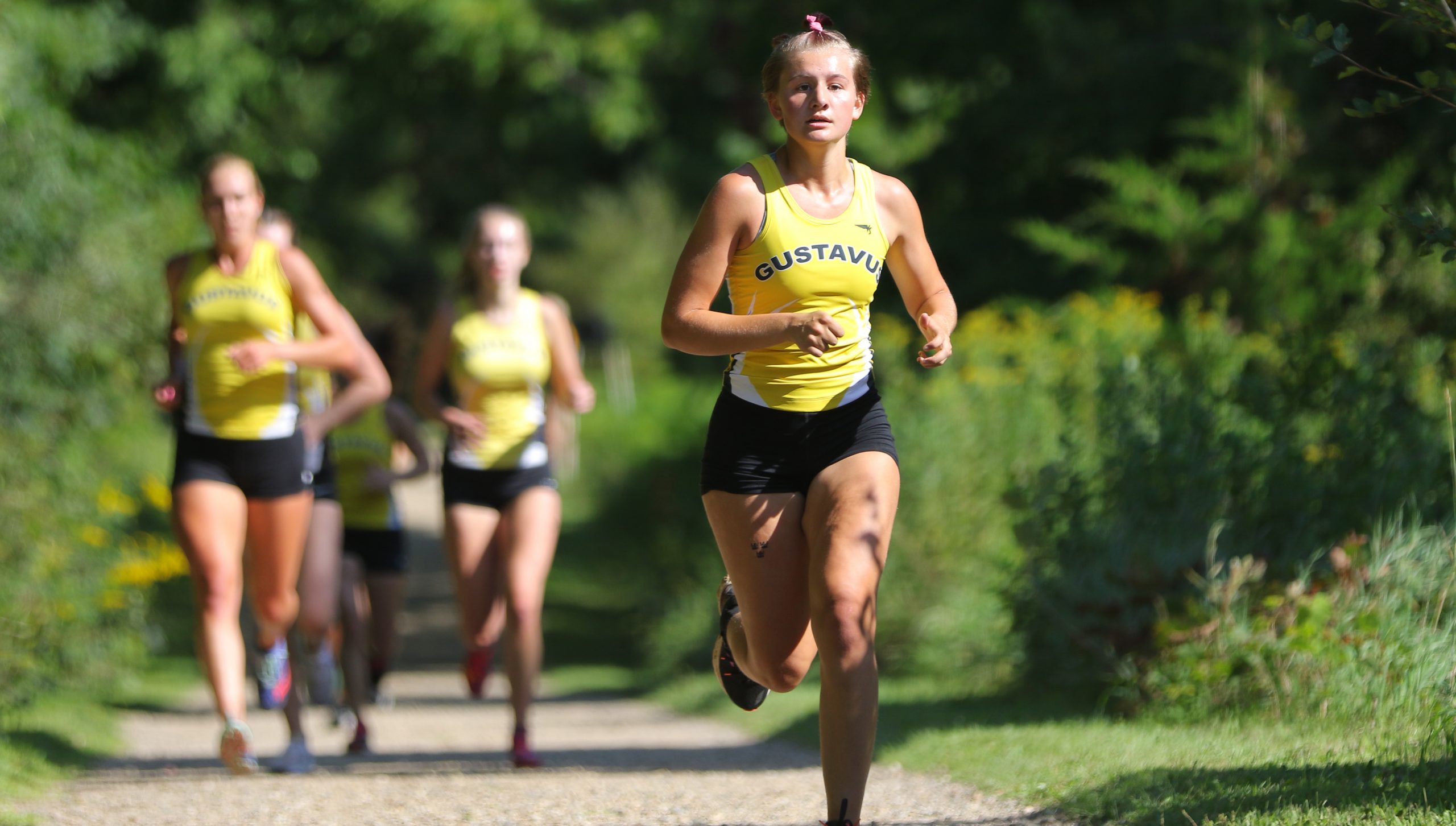 Cross County Competes at SJU Fall Invite