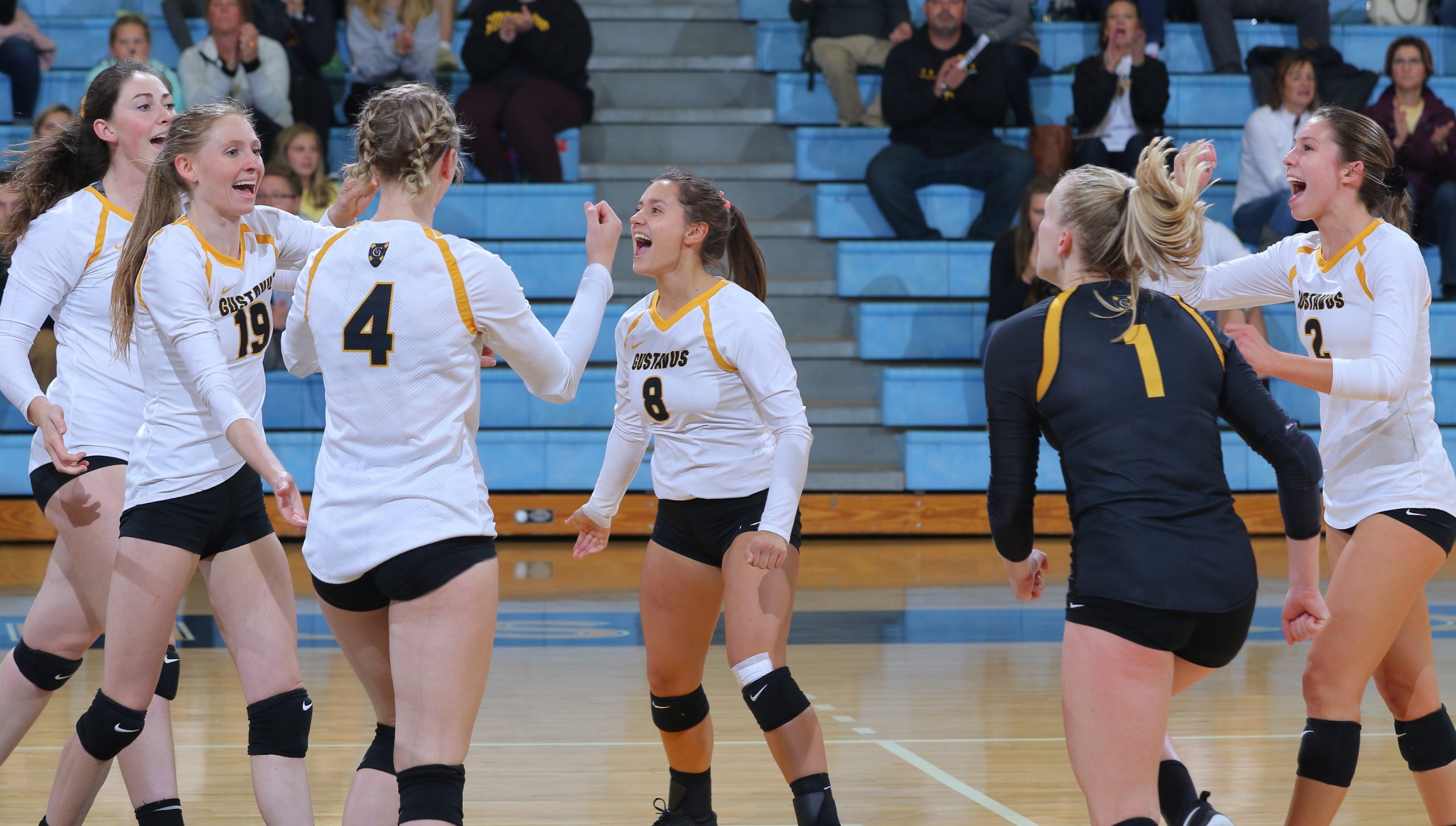 Volleyball Travels to Augsburg for MIAC Semifinal Tuesday