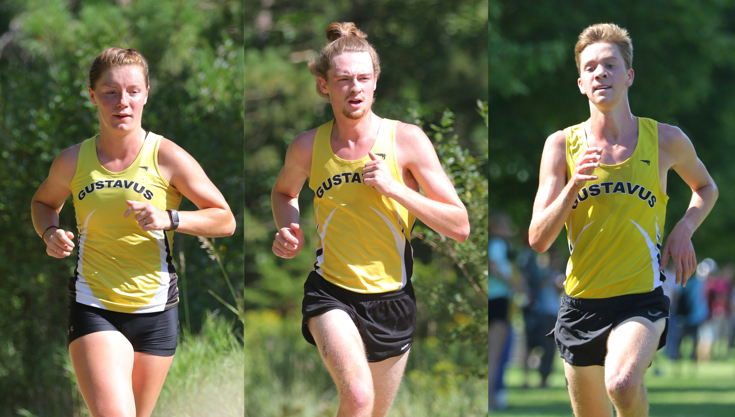 Cross Country Qualifies Three for NCAA Championships