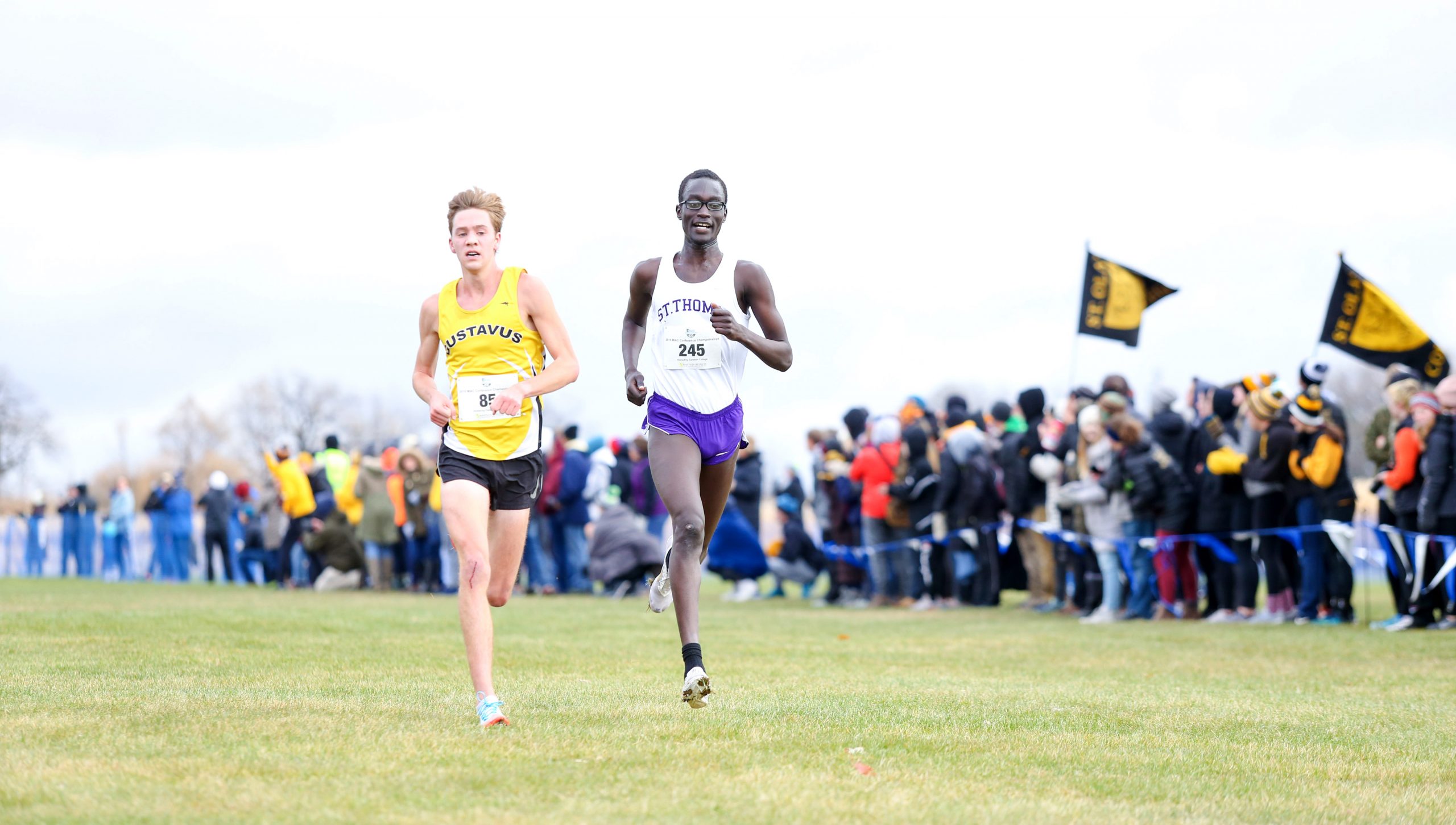 Men’s Cross Country Takes Fourth at MIAC Championships