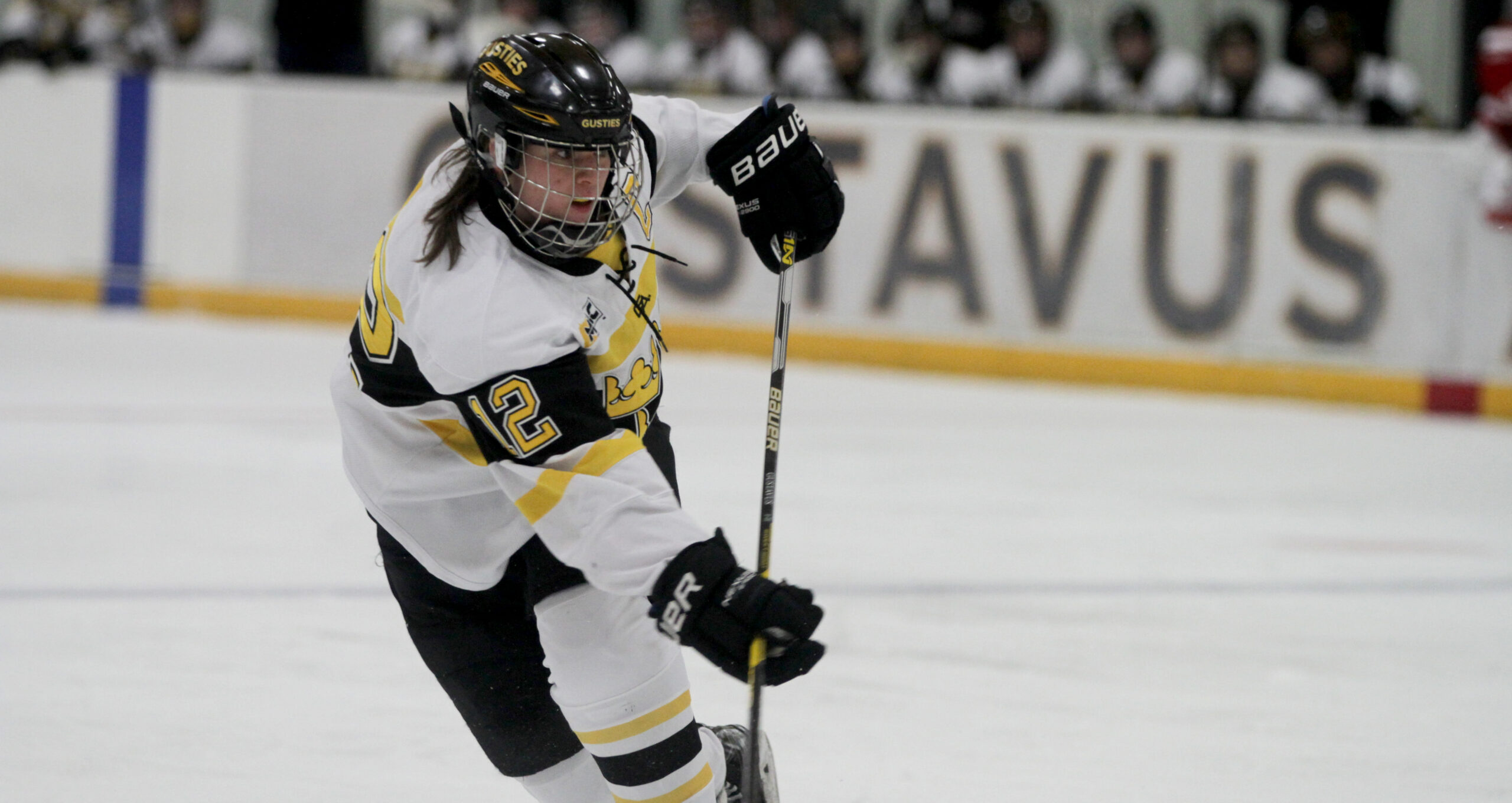 Women’s Hockey Faces UW-River Falls in Top-10 Matchup