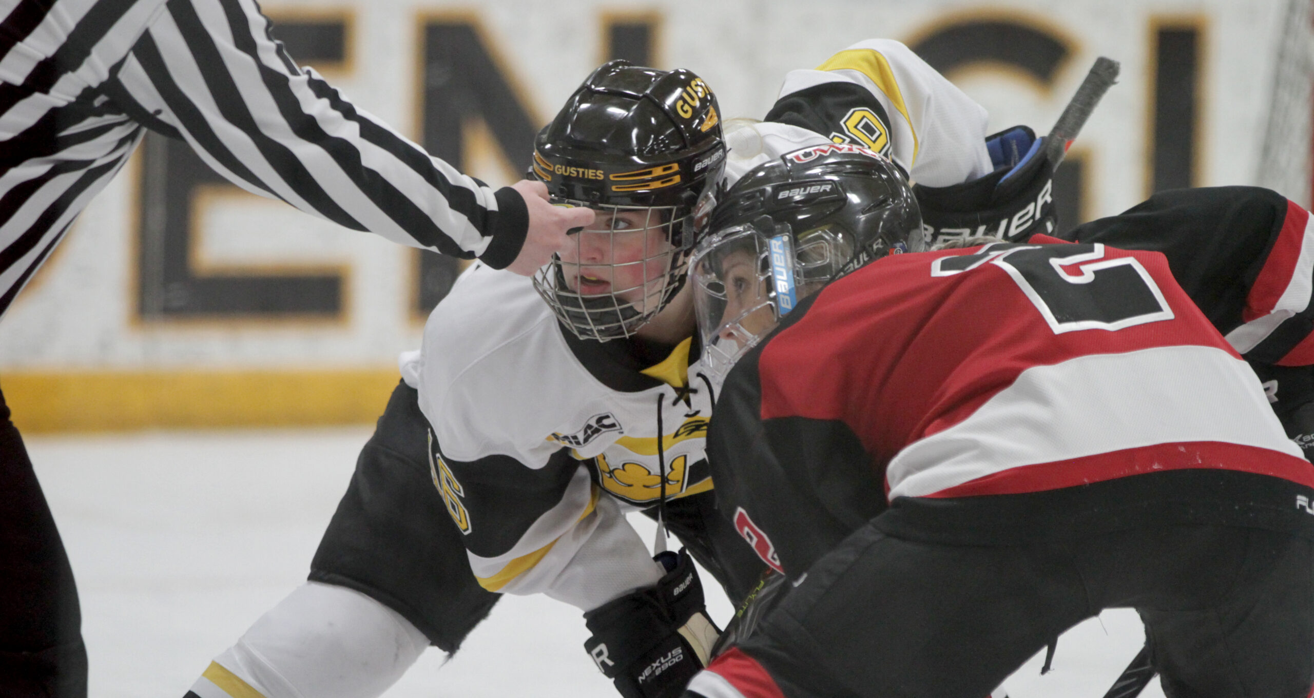 Women’s Hockey Ends 2019 with 3-1 Win Over UW-River Falls