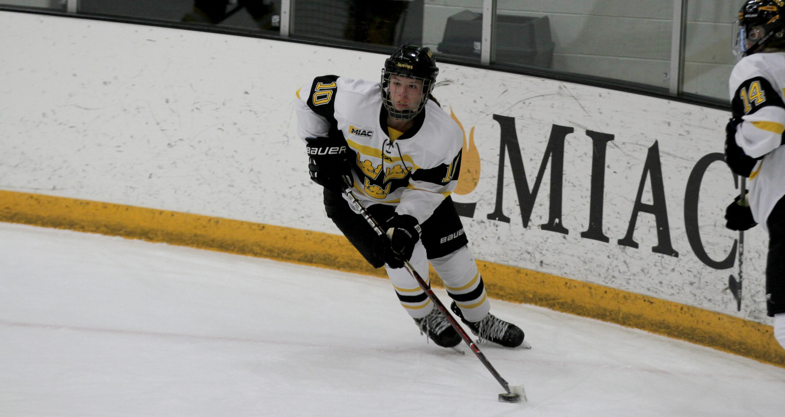 Women’s Hockey Falls to UW-Superior 2-1