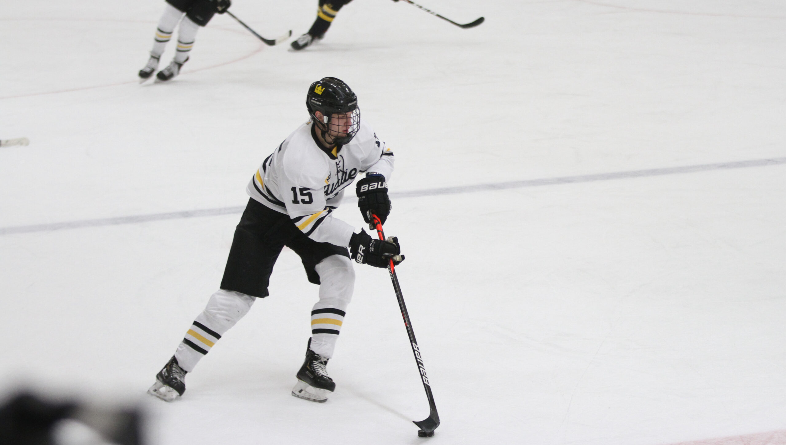 Men’s Hockey Skates to 3-3 Tie with No. 11 UW-Superior