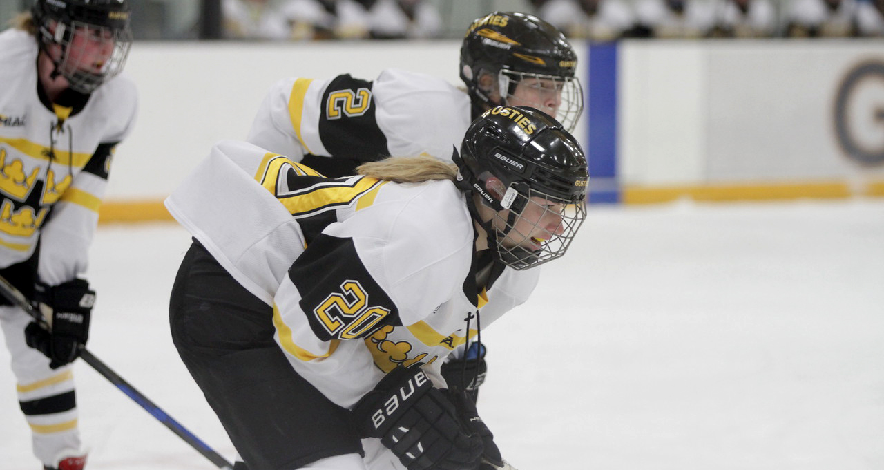 Women’s Hockey Hosts UW-Superior Friday Night