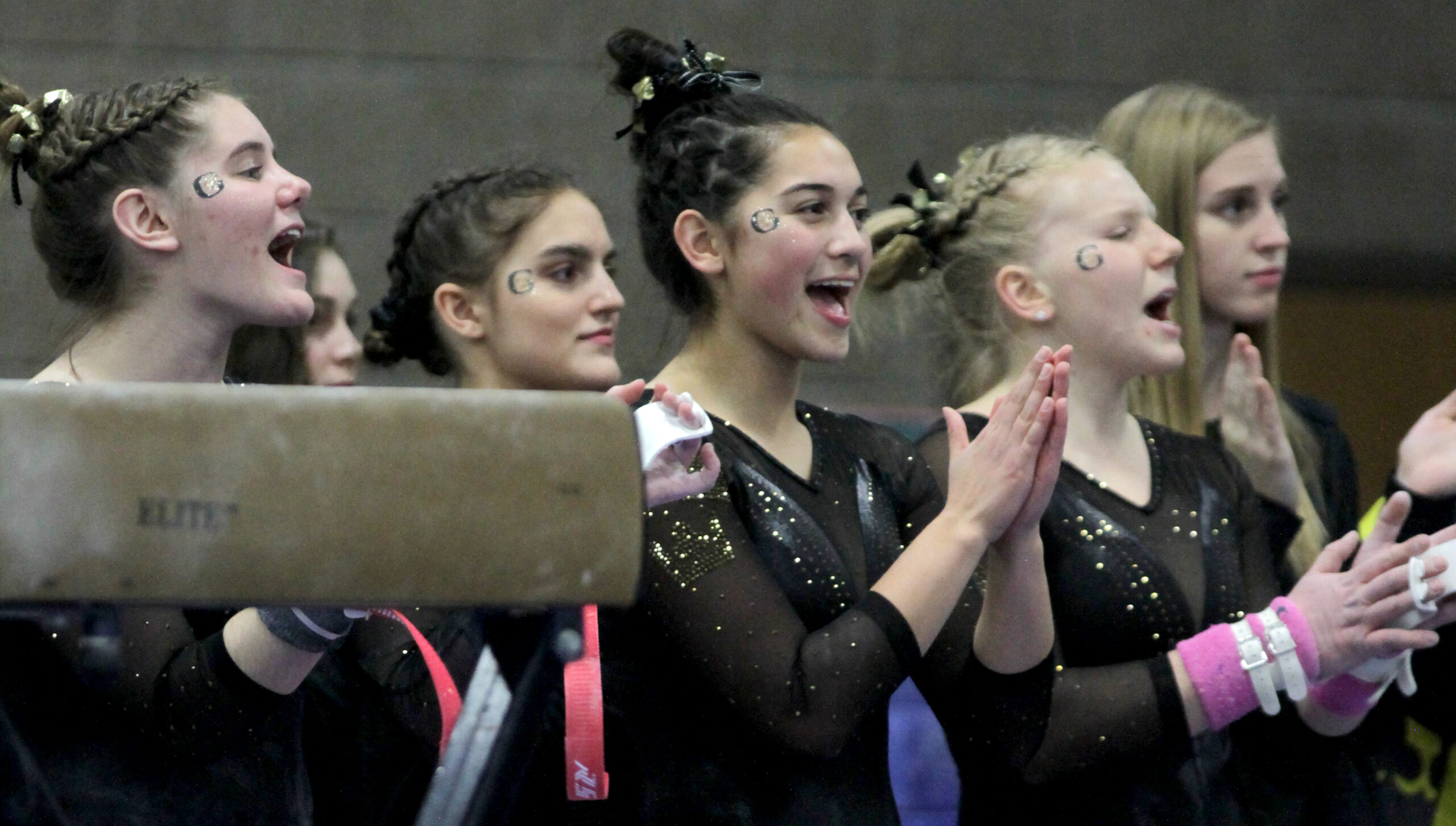 Time Change: Gymnastics Hosts UW-Eau Claire at 1 p.m. Friday